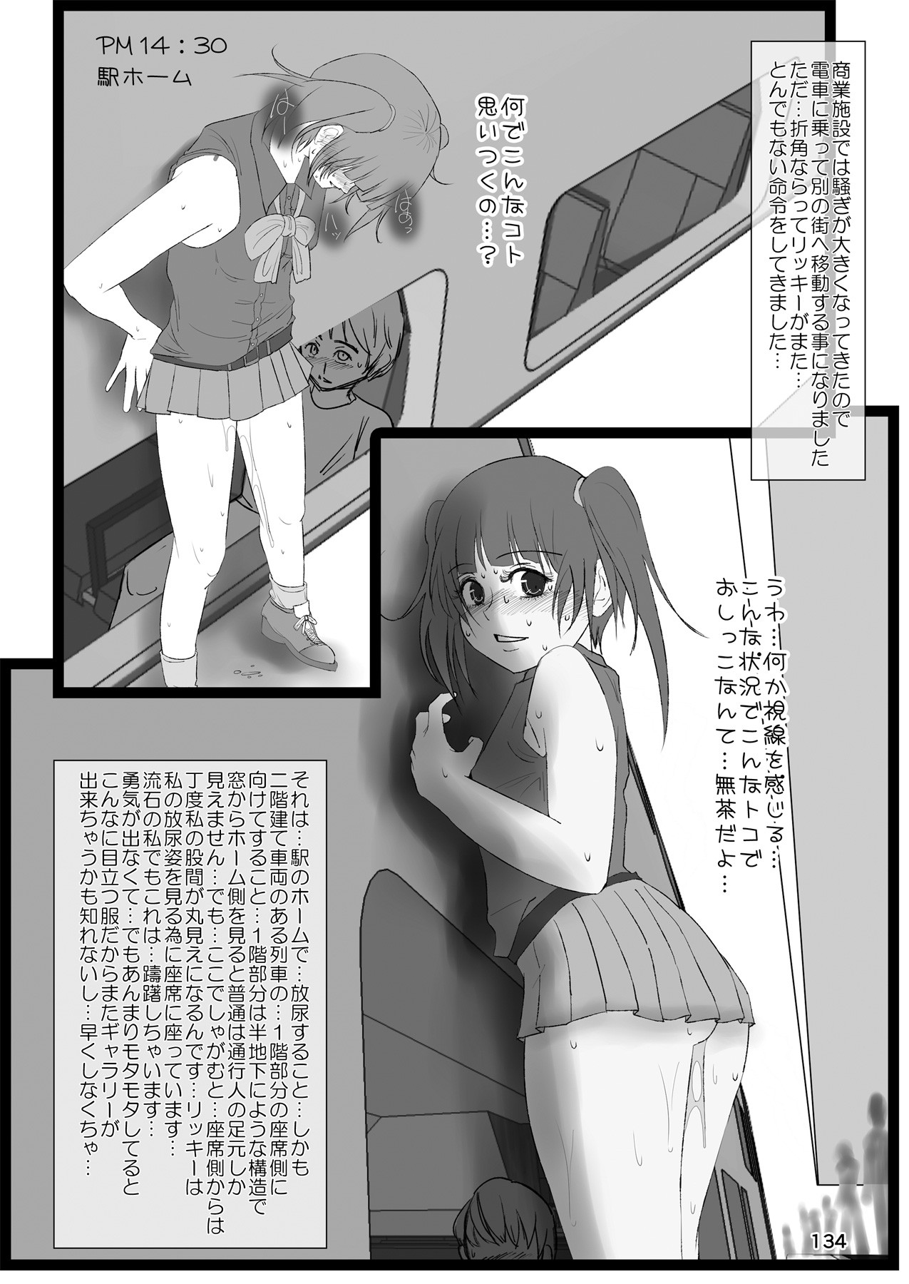 Page 133