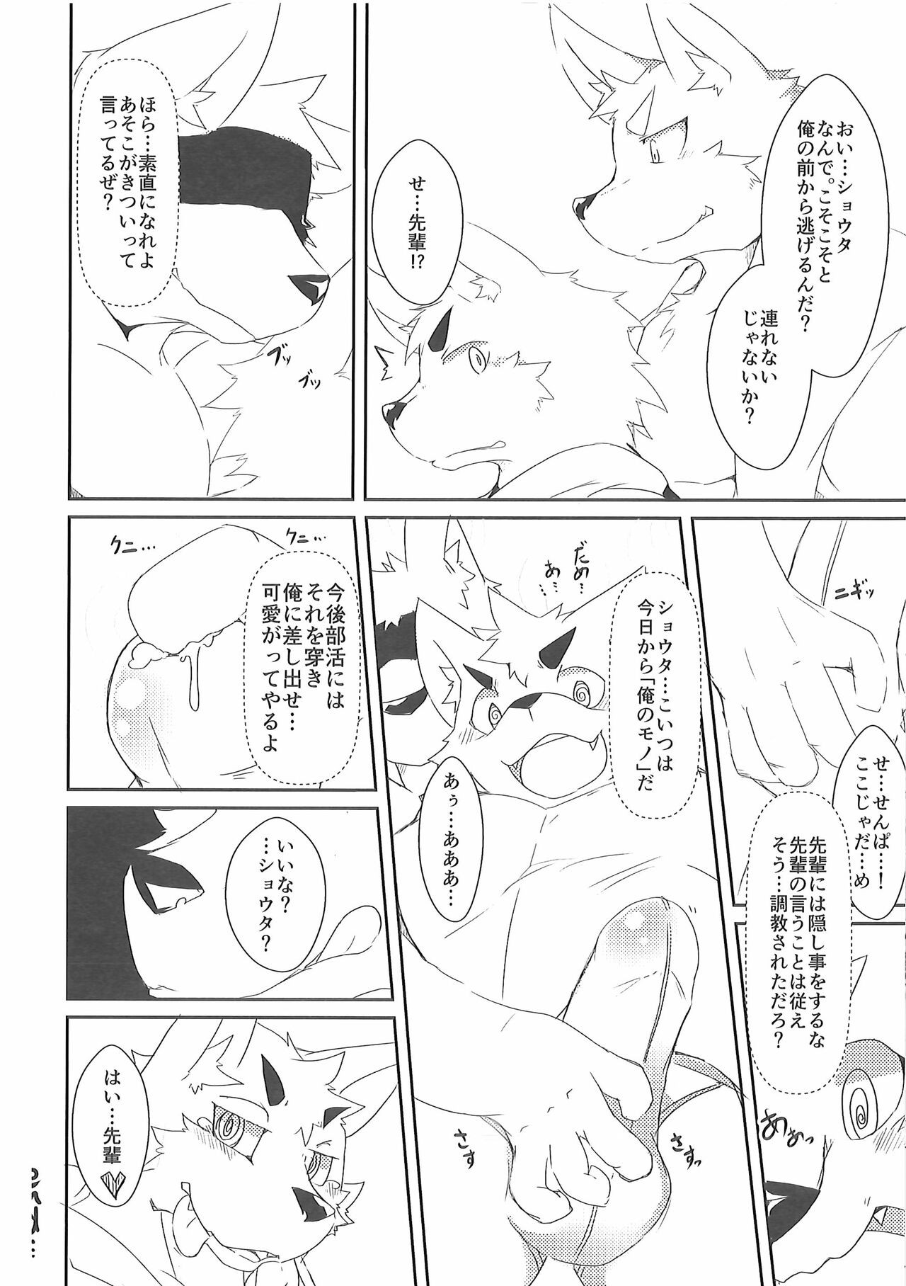 Page 41