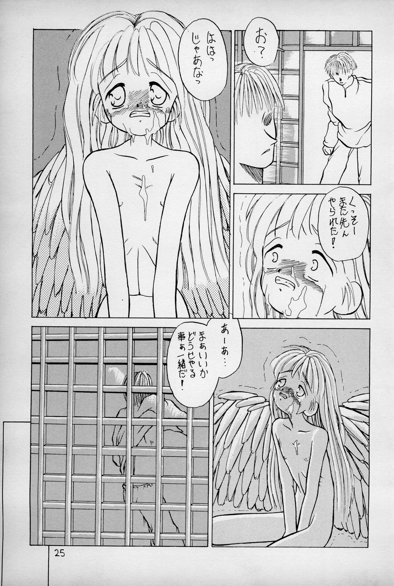 Page 27