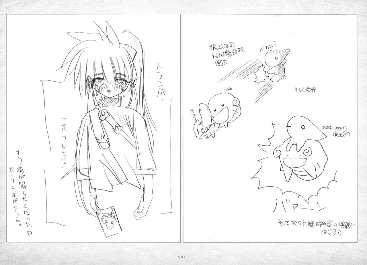Page 85