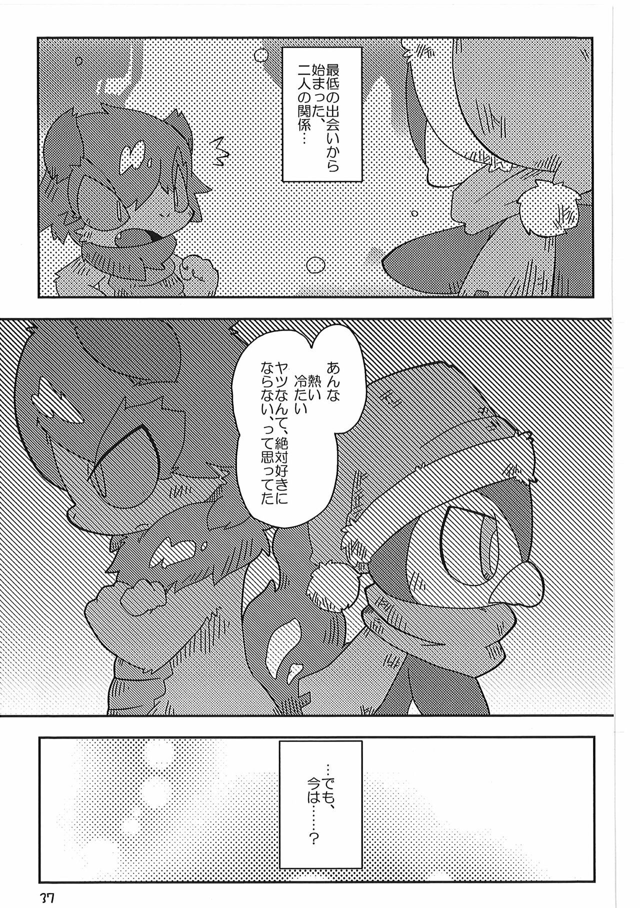 Page 37