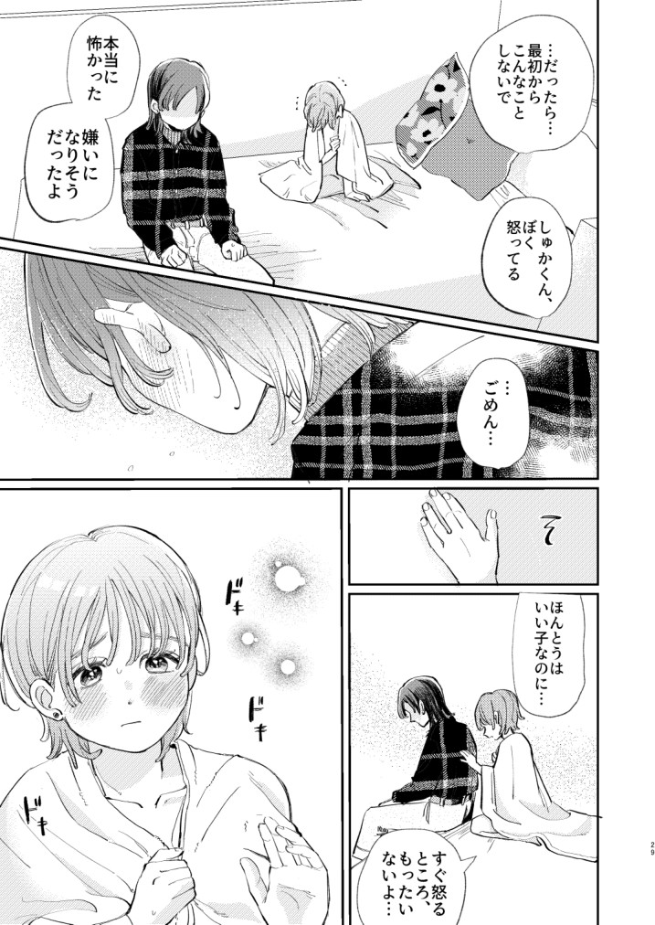 Page 29