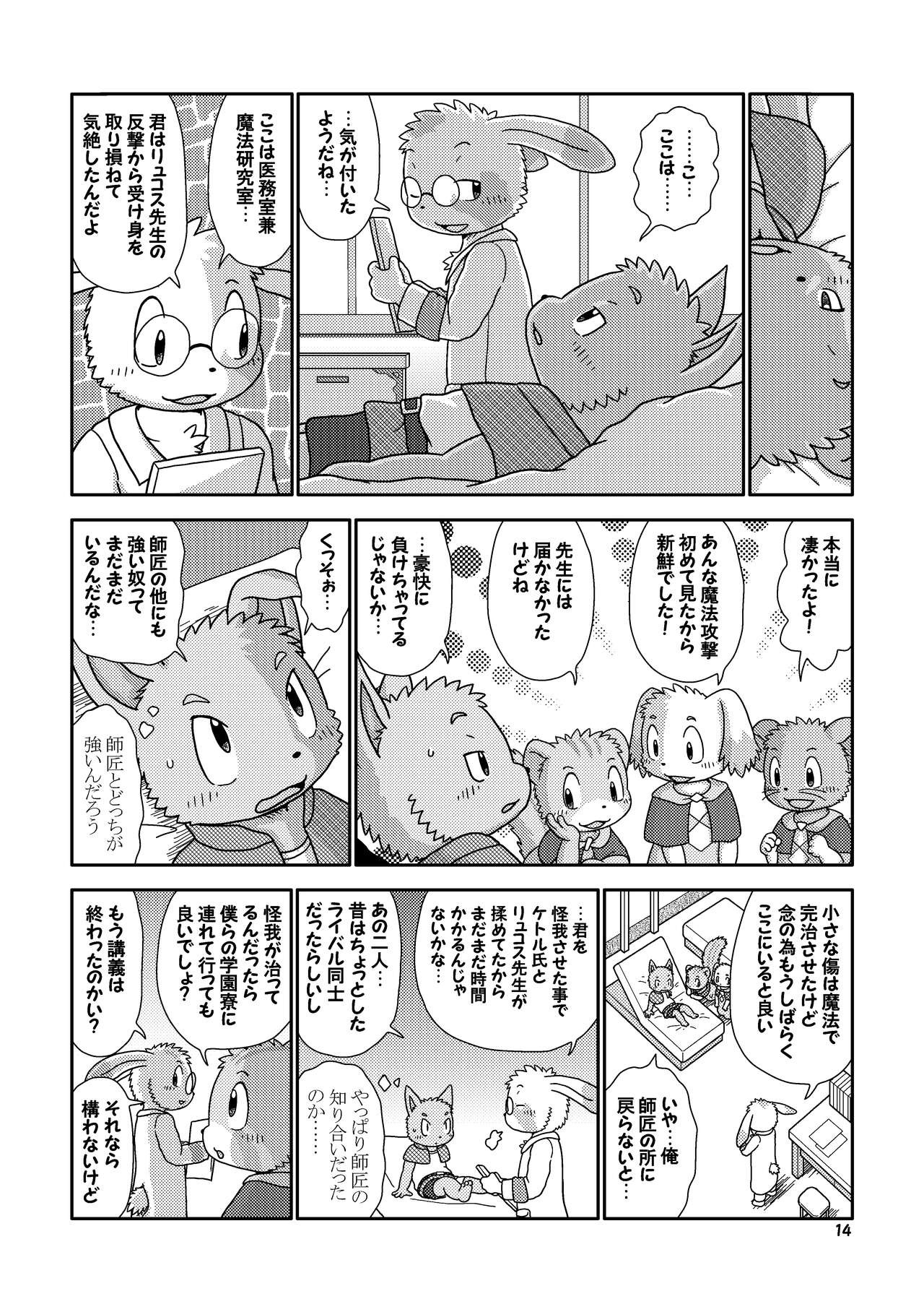 Page 14