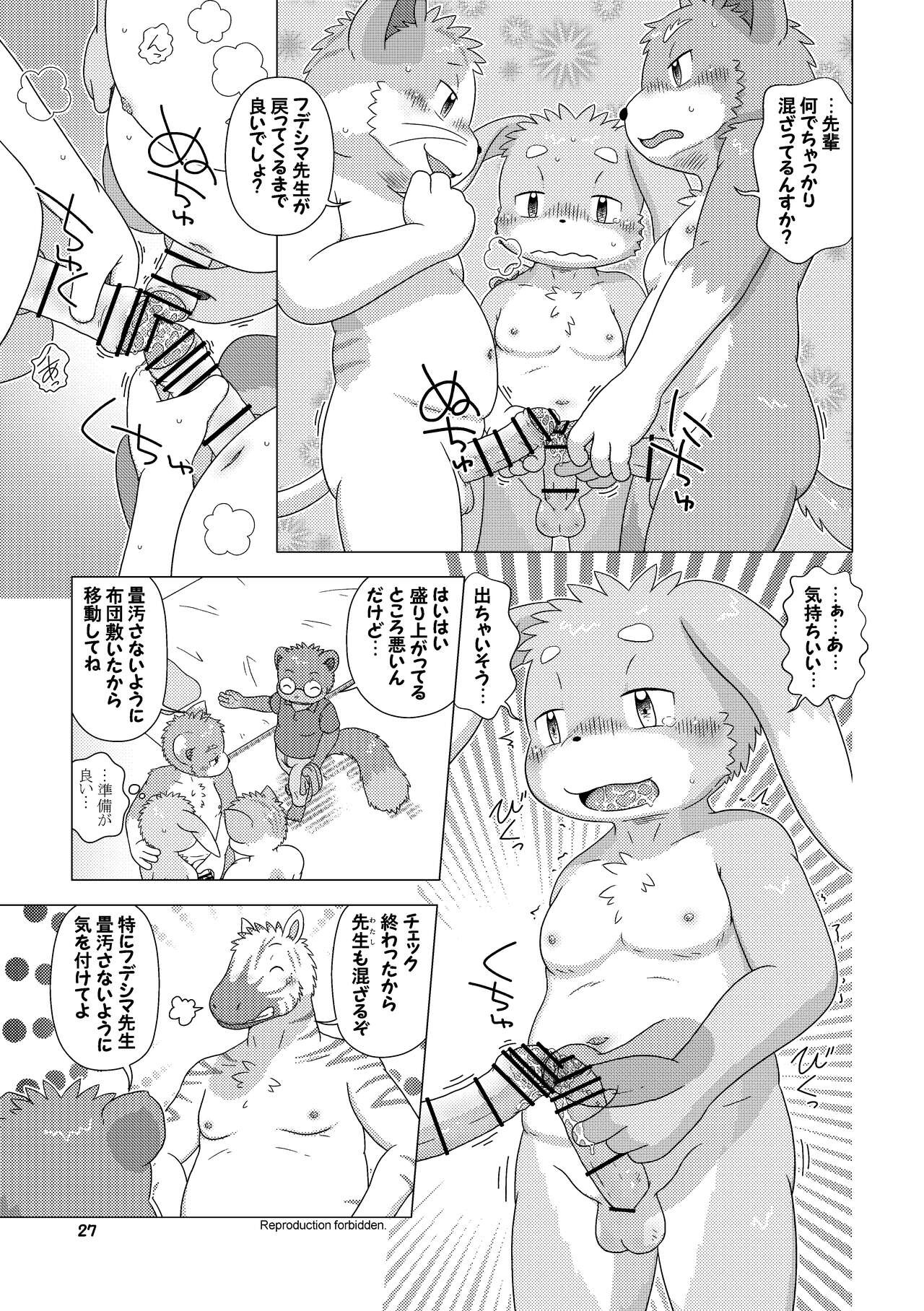 Page 27