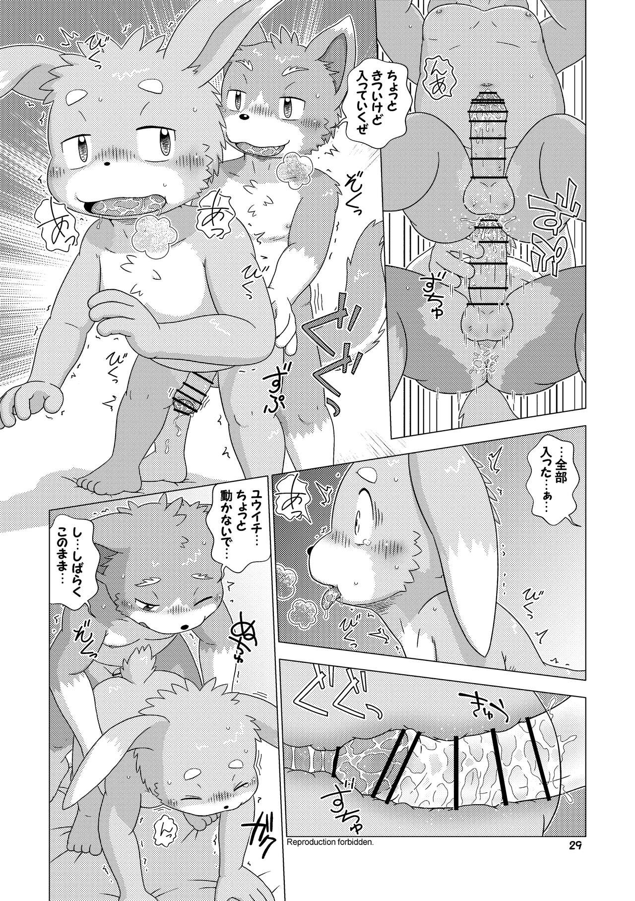 Page 29