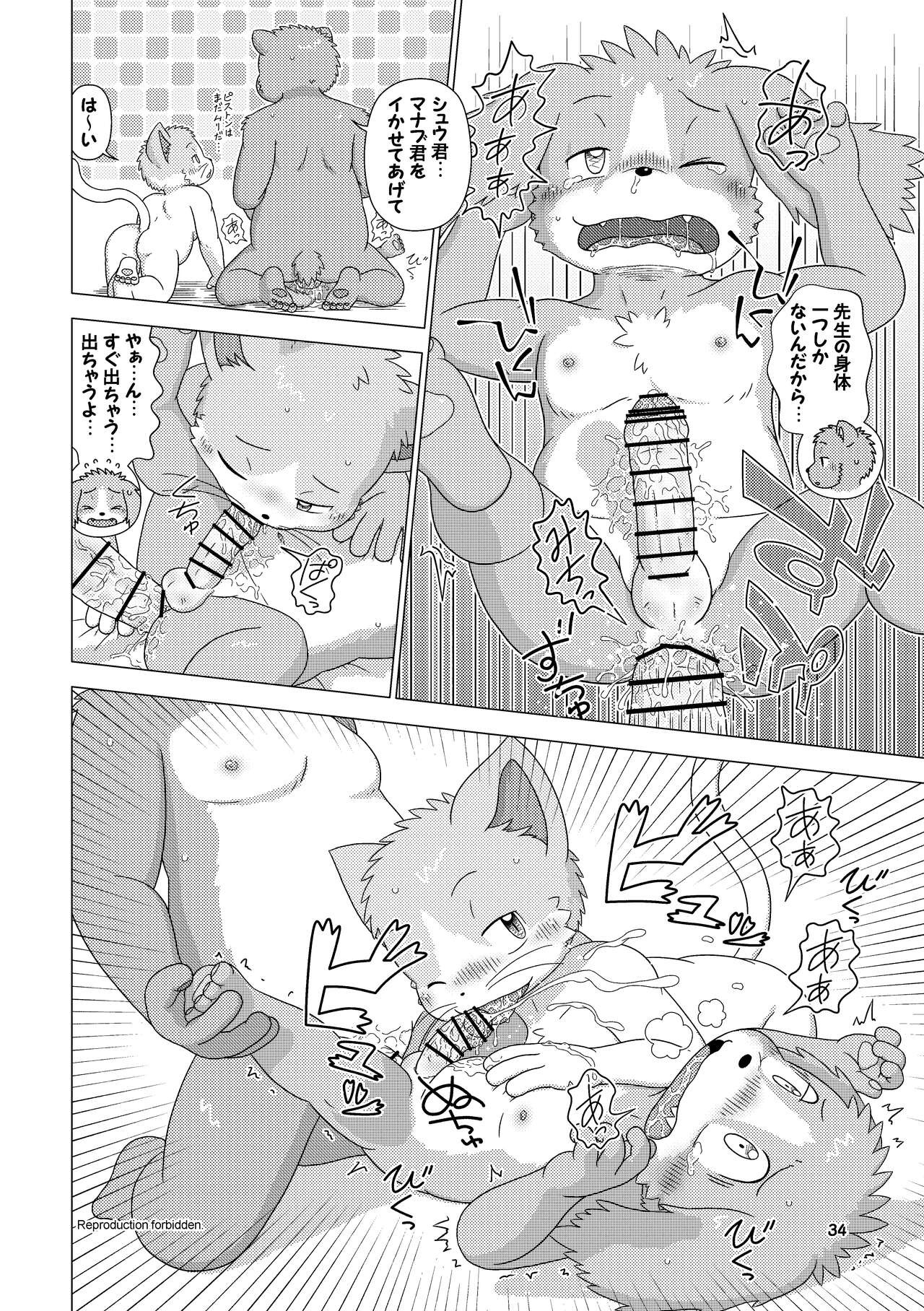 Page 34