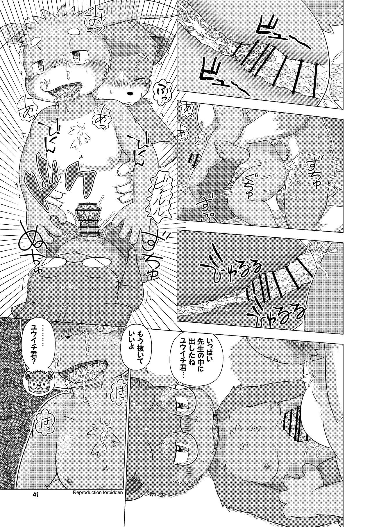 Page 41