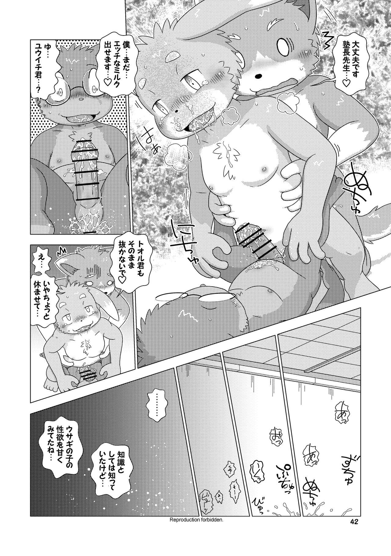 Page 42