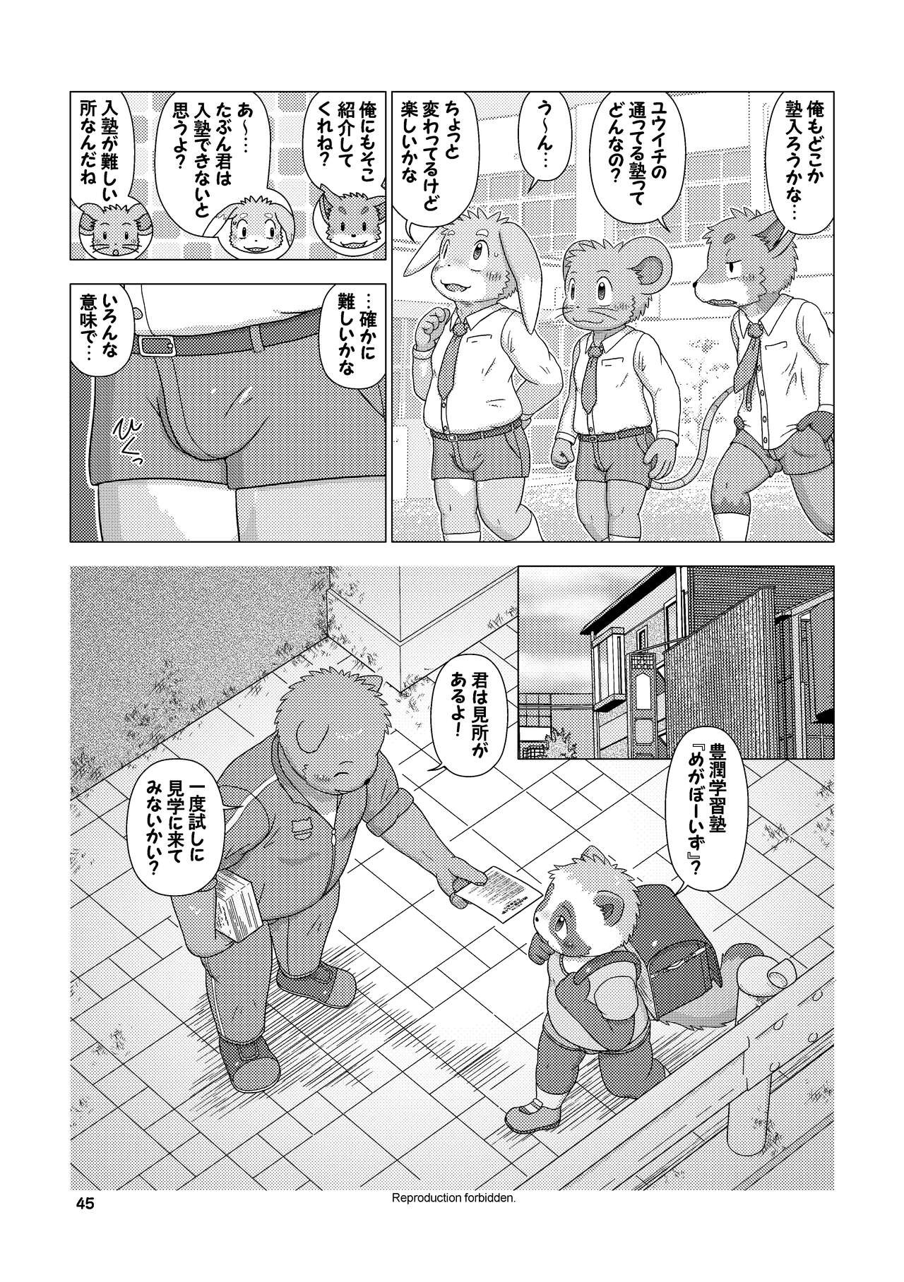 Page 45