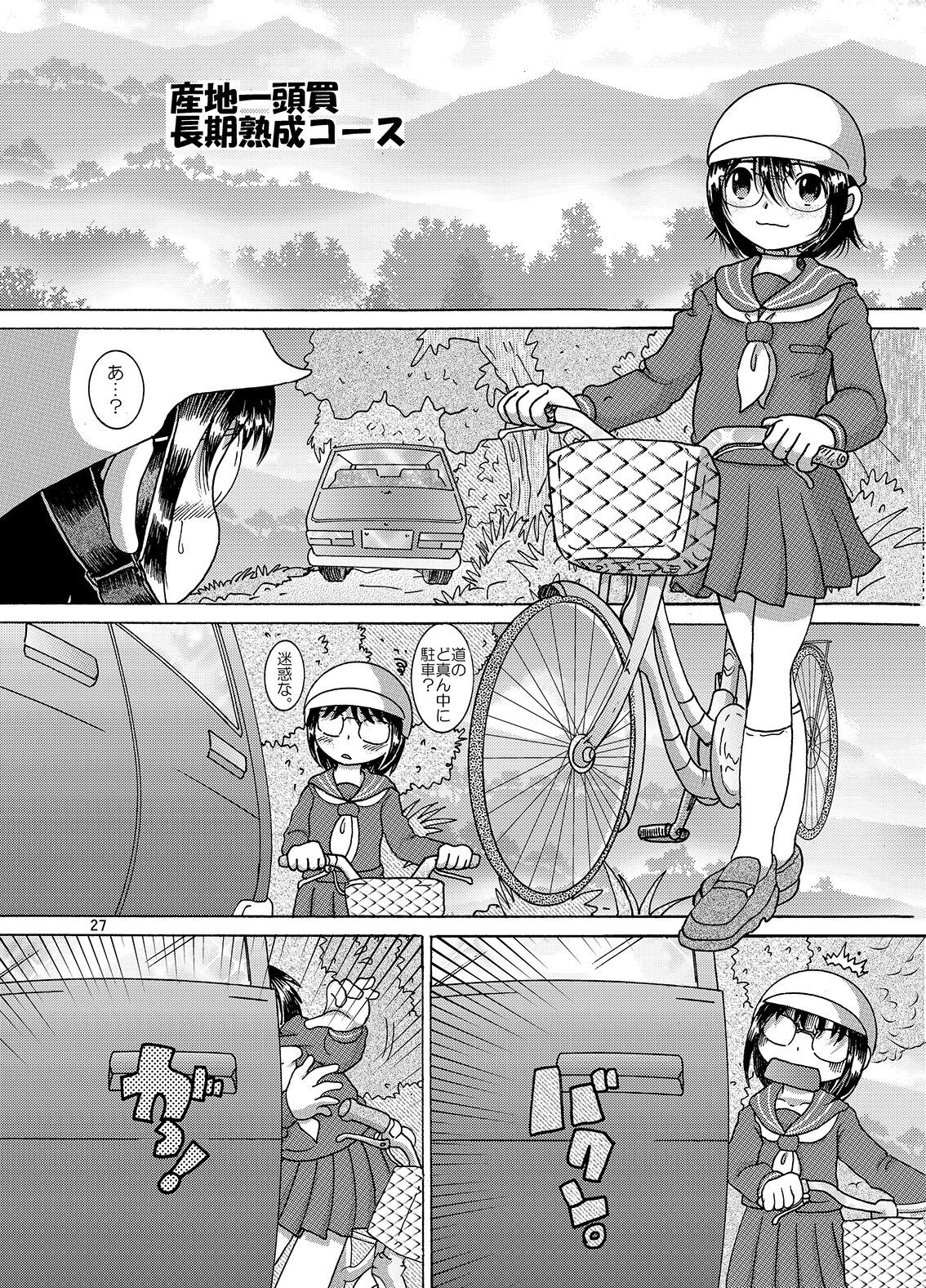 Page 27