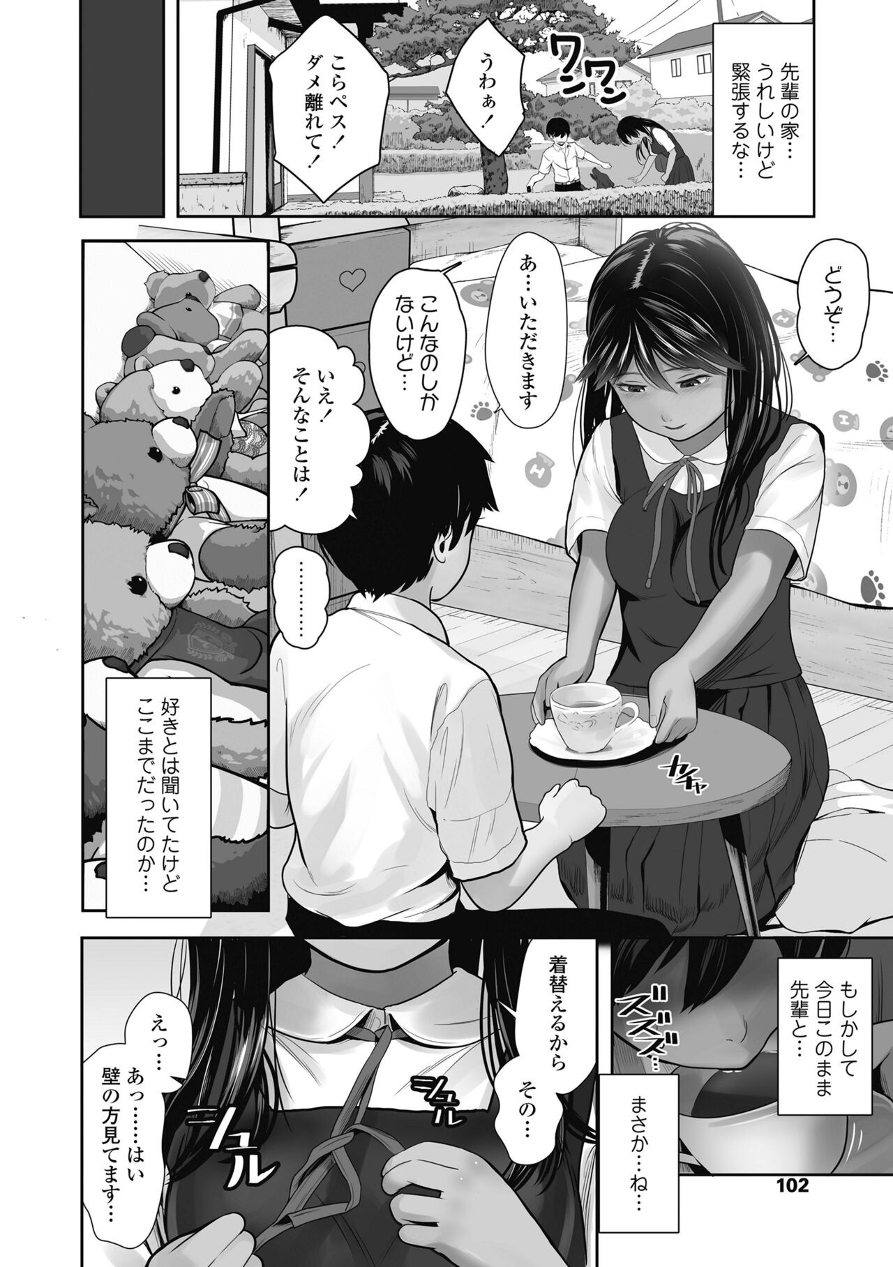Page 102