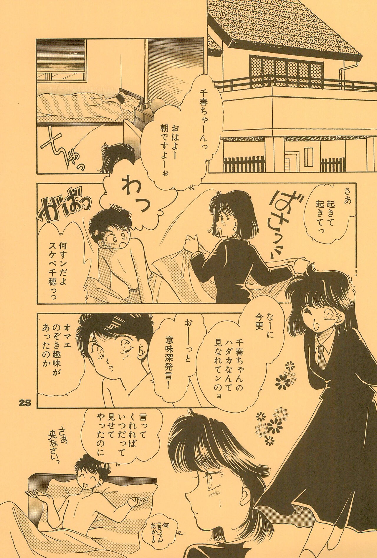 Page 25