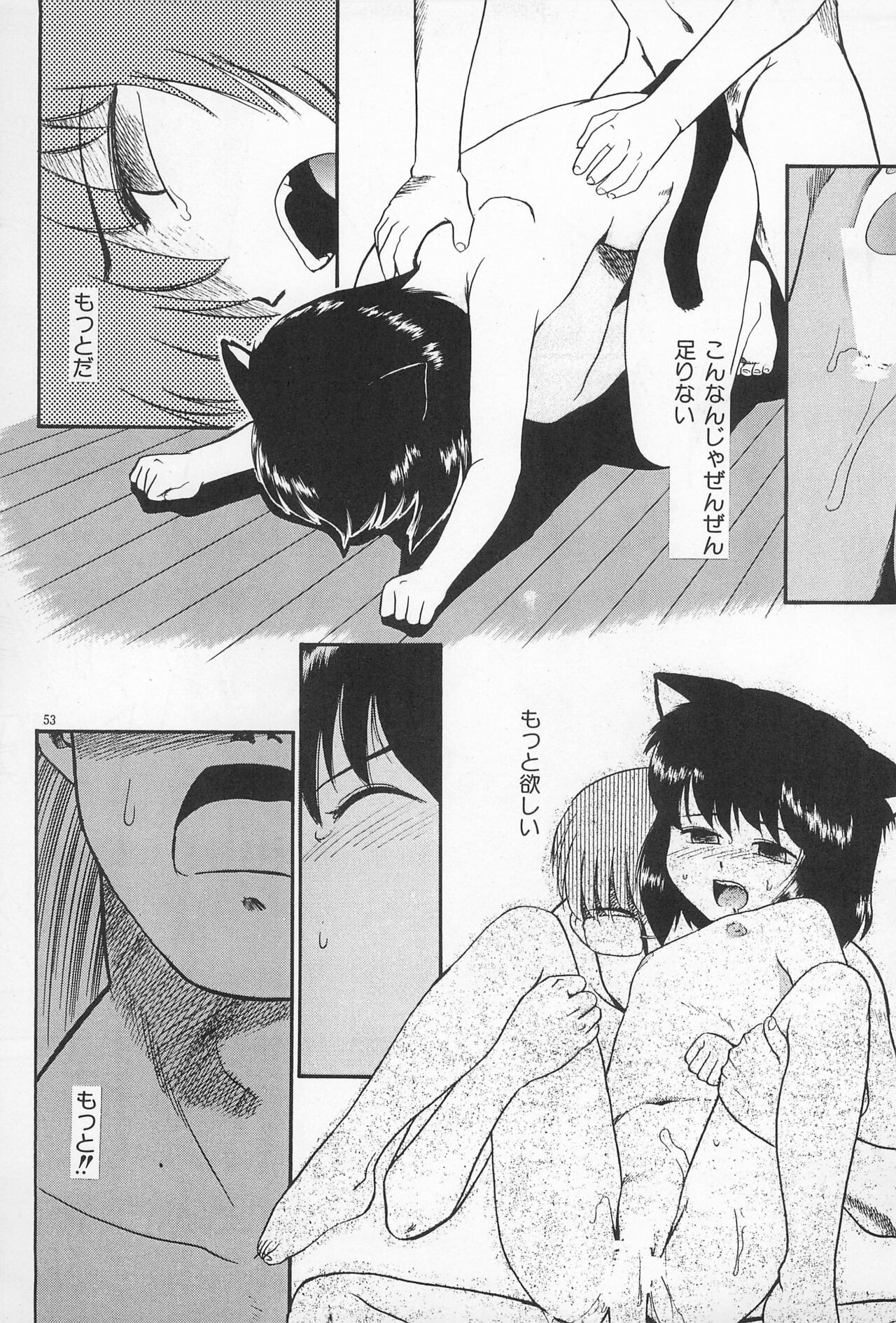 Page 53