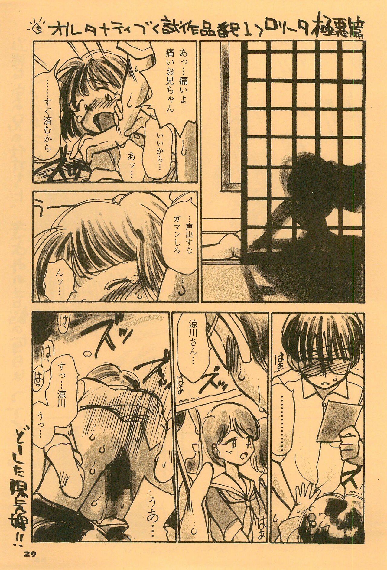Page 29