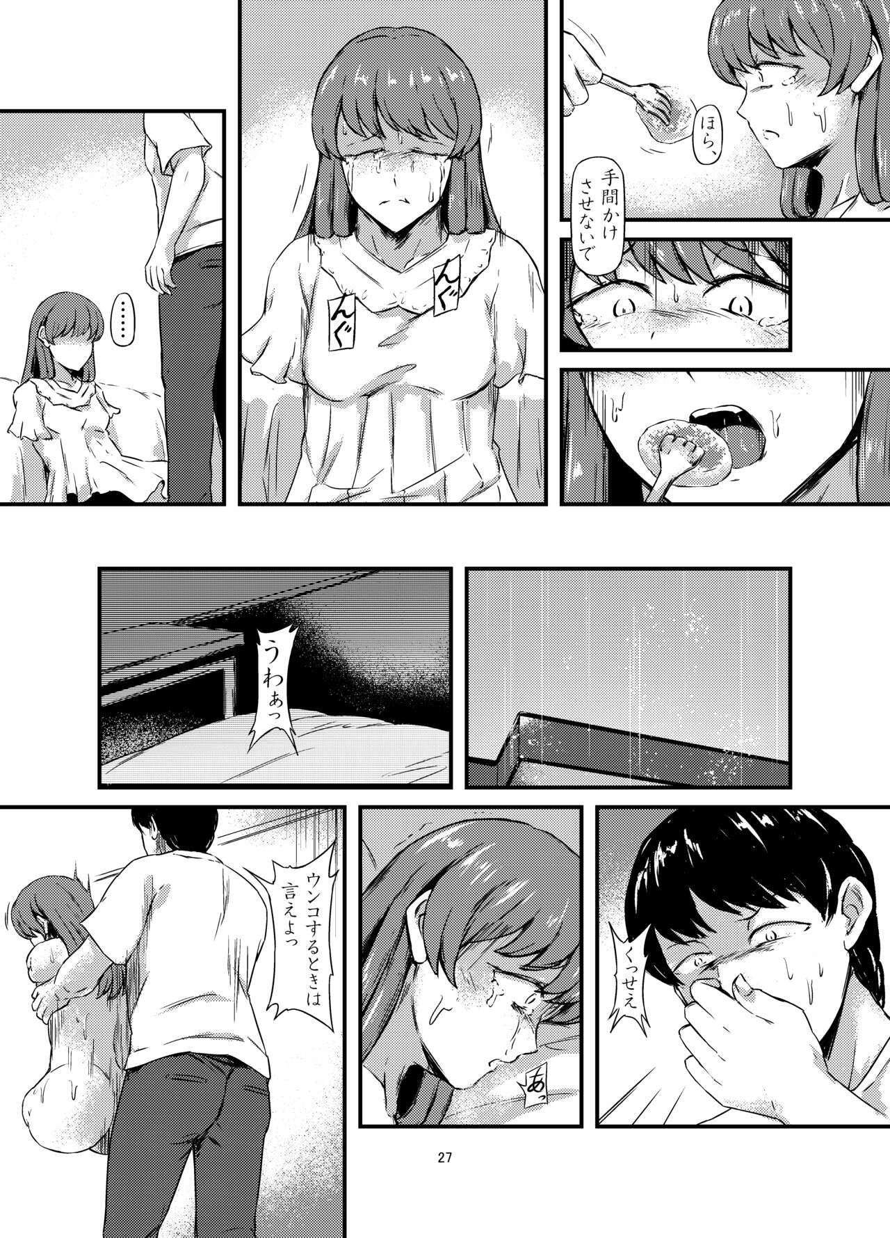 Page 27