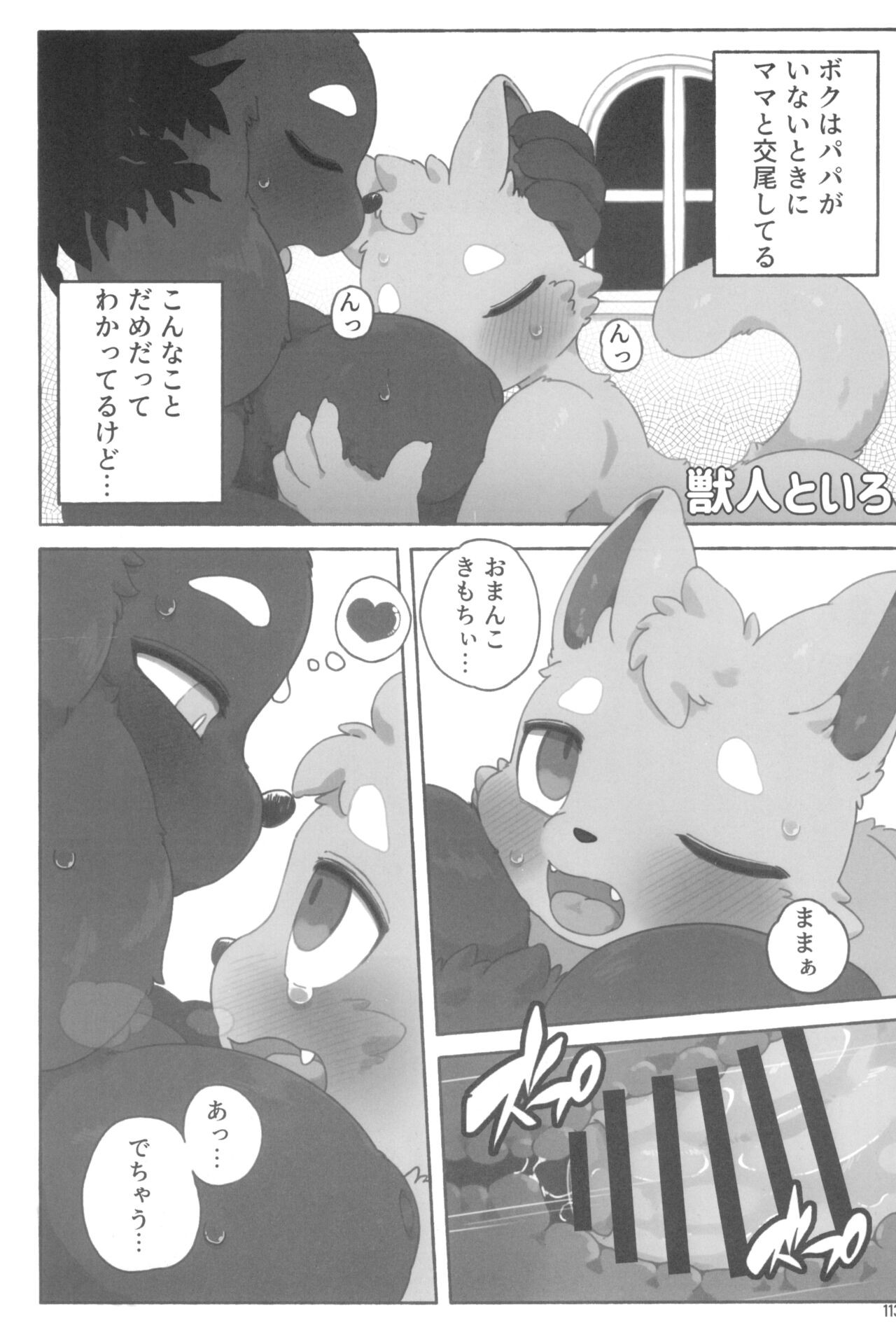 Page 113