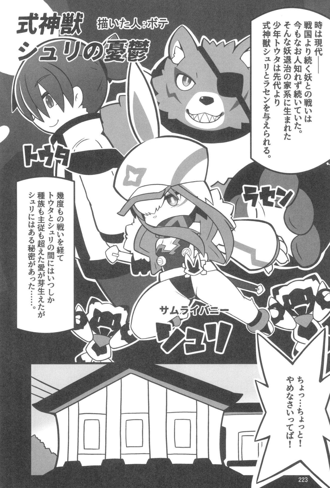 Page 223