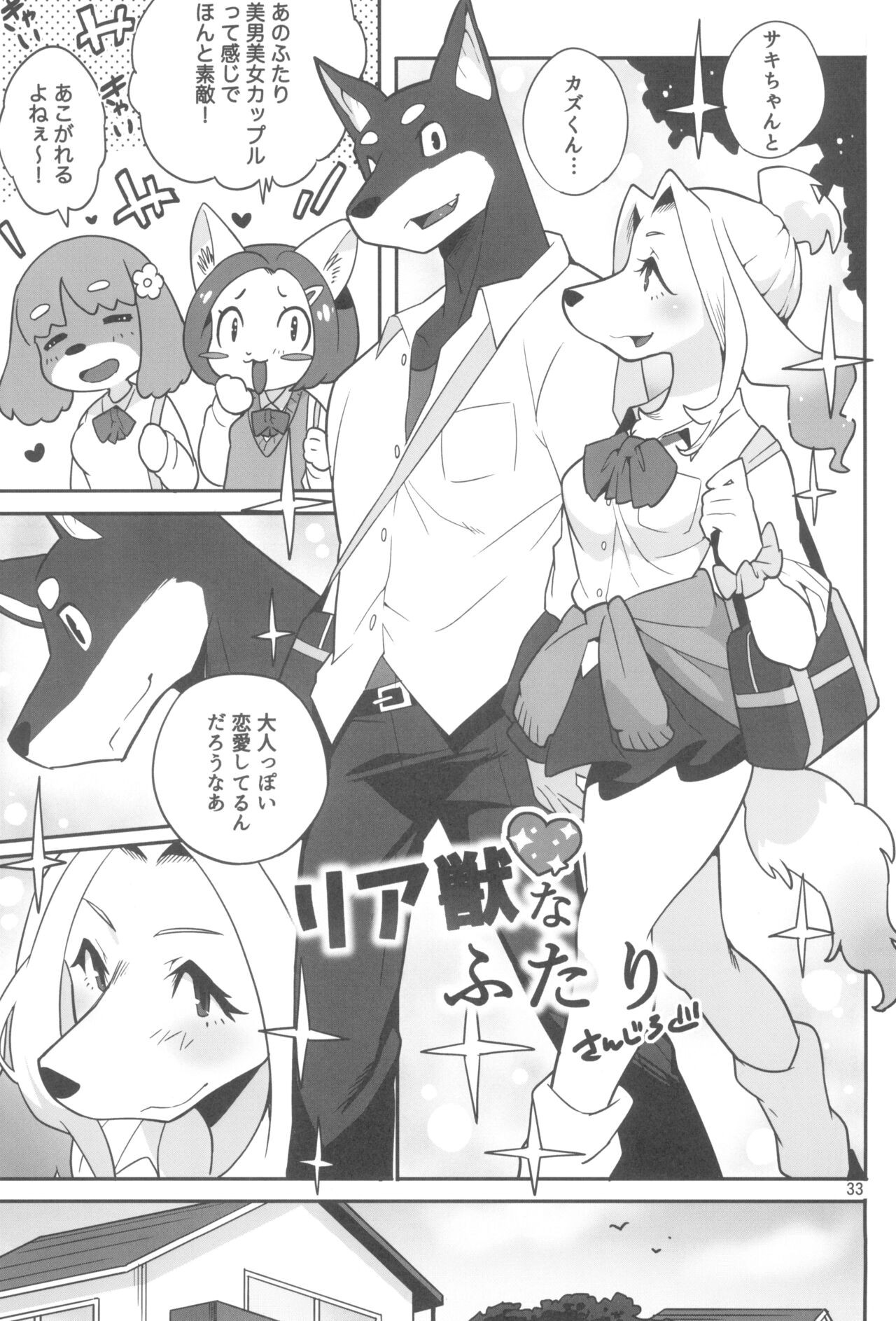 Page 33