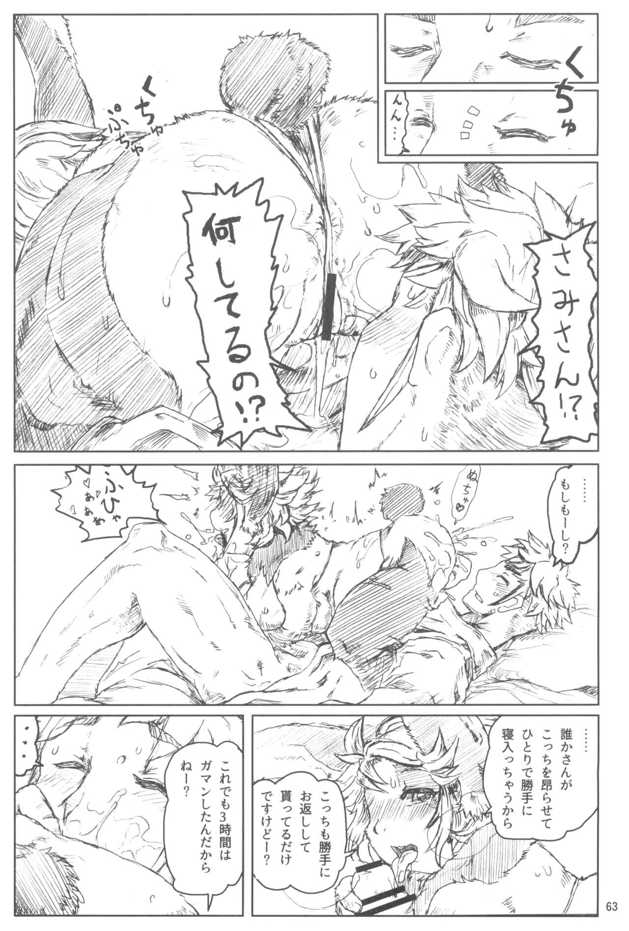 Page 63