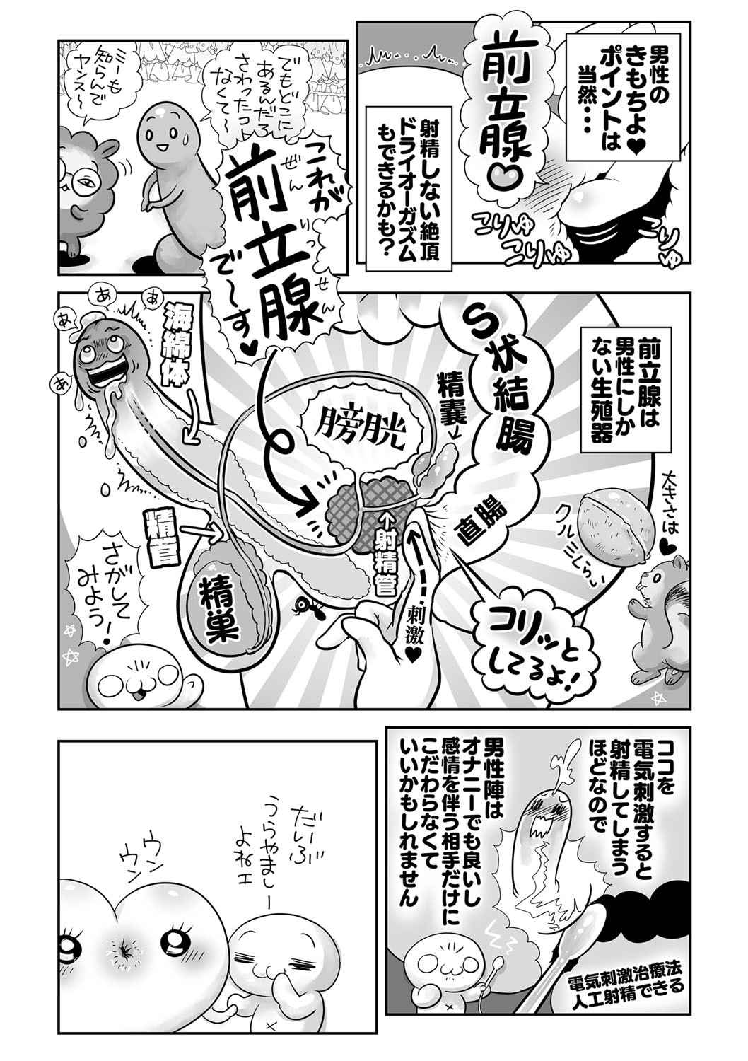 Page 246