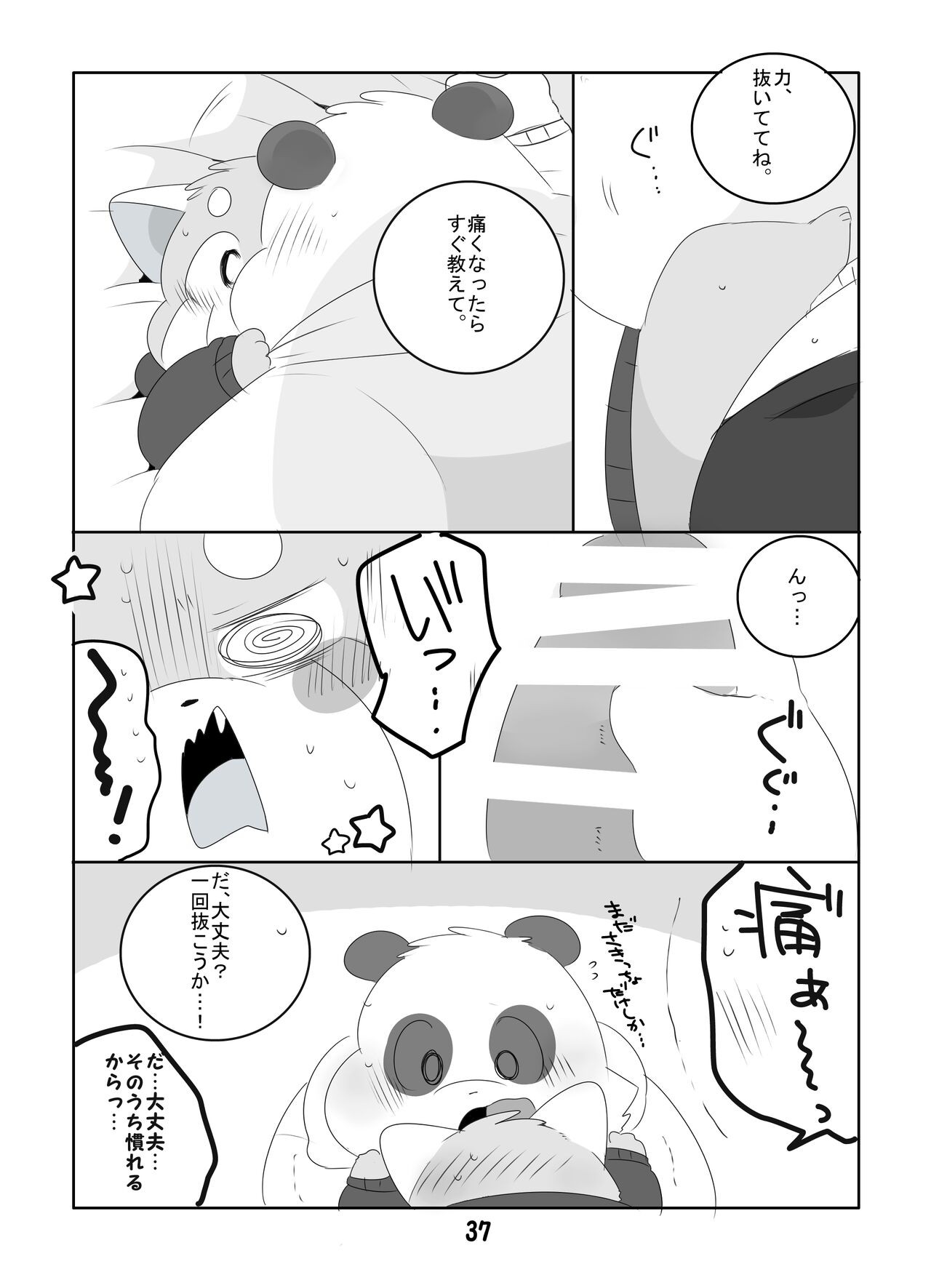 Page 36