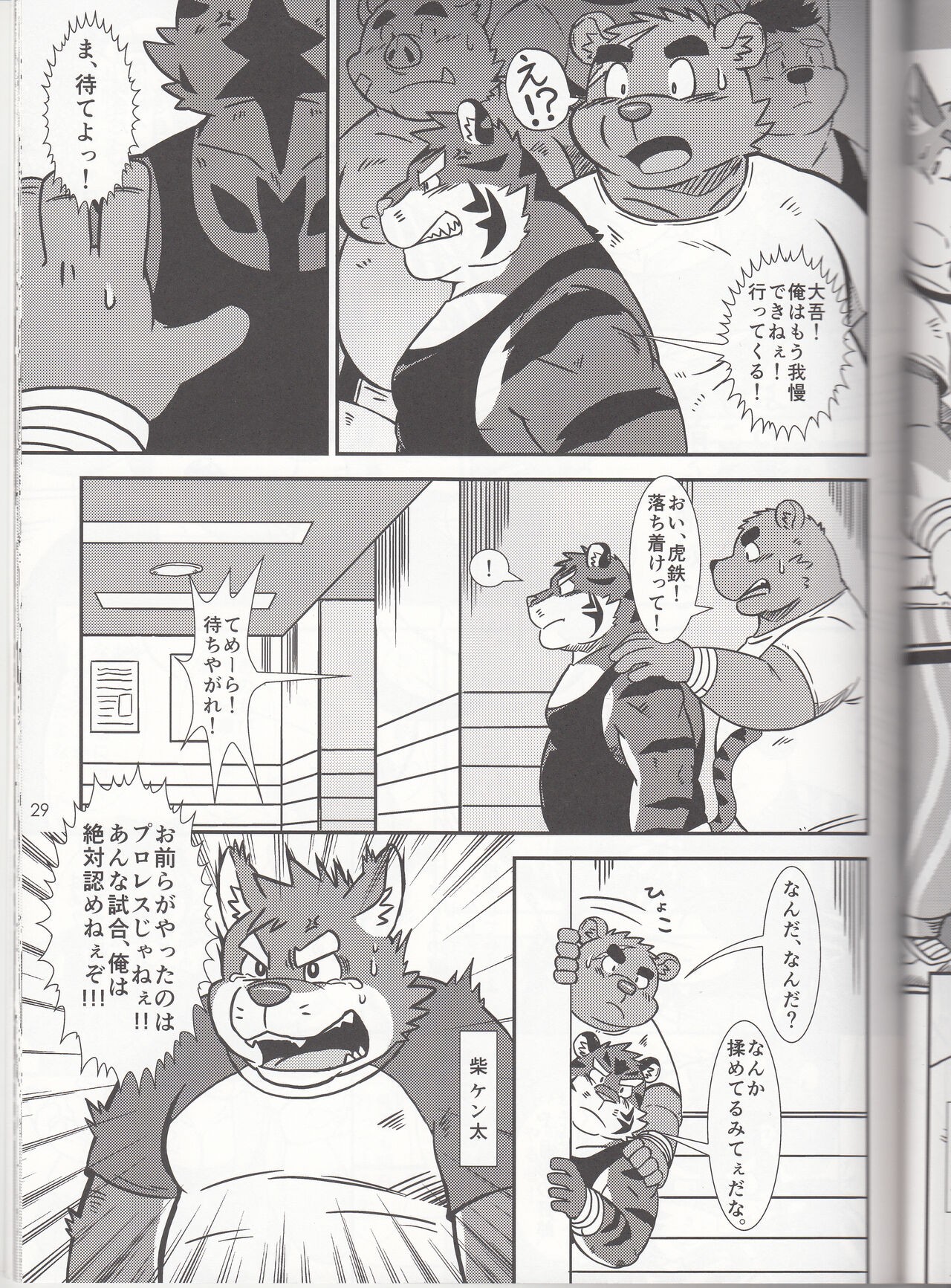 Page 29