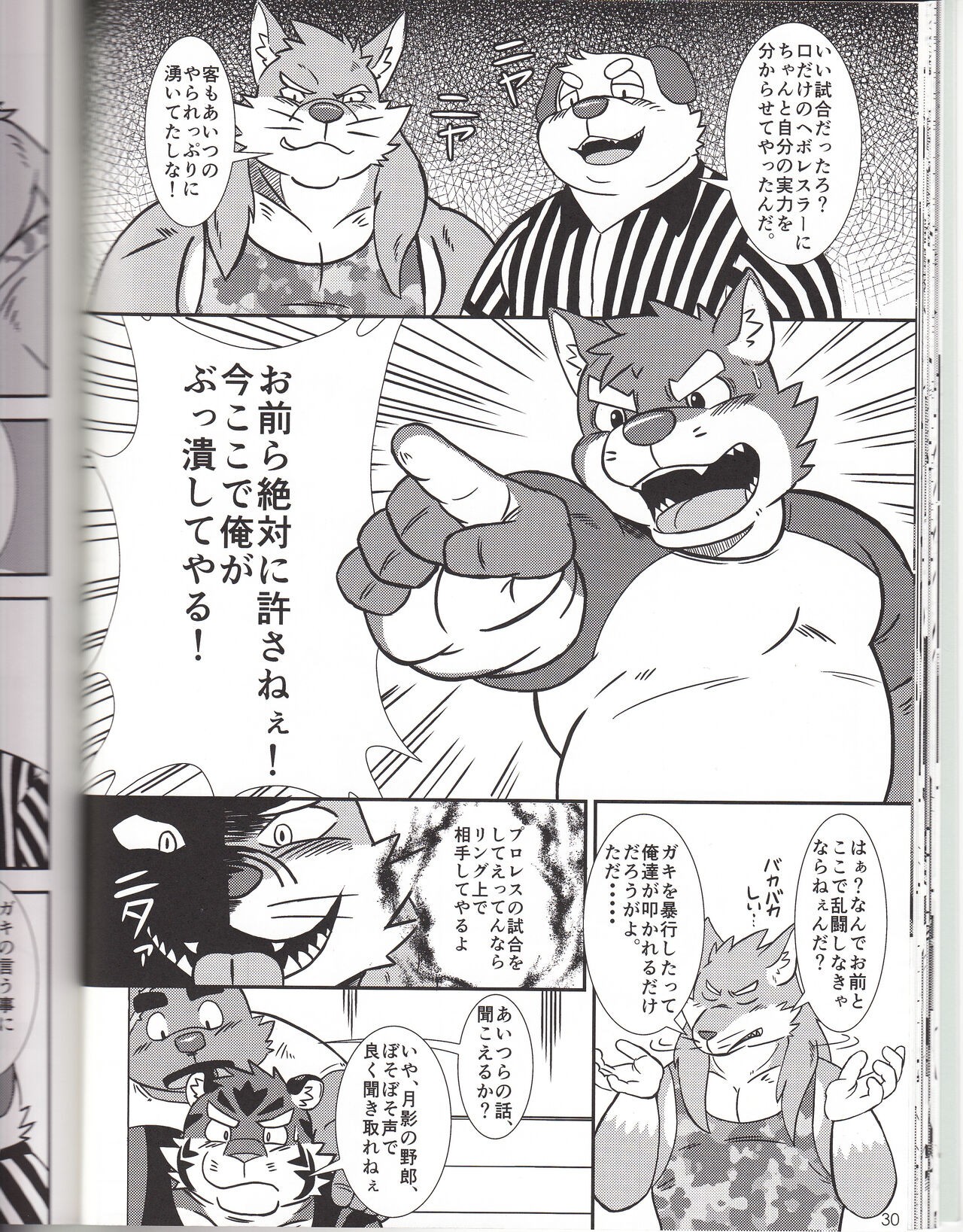 Page 30