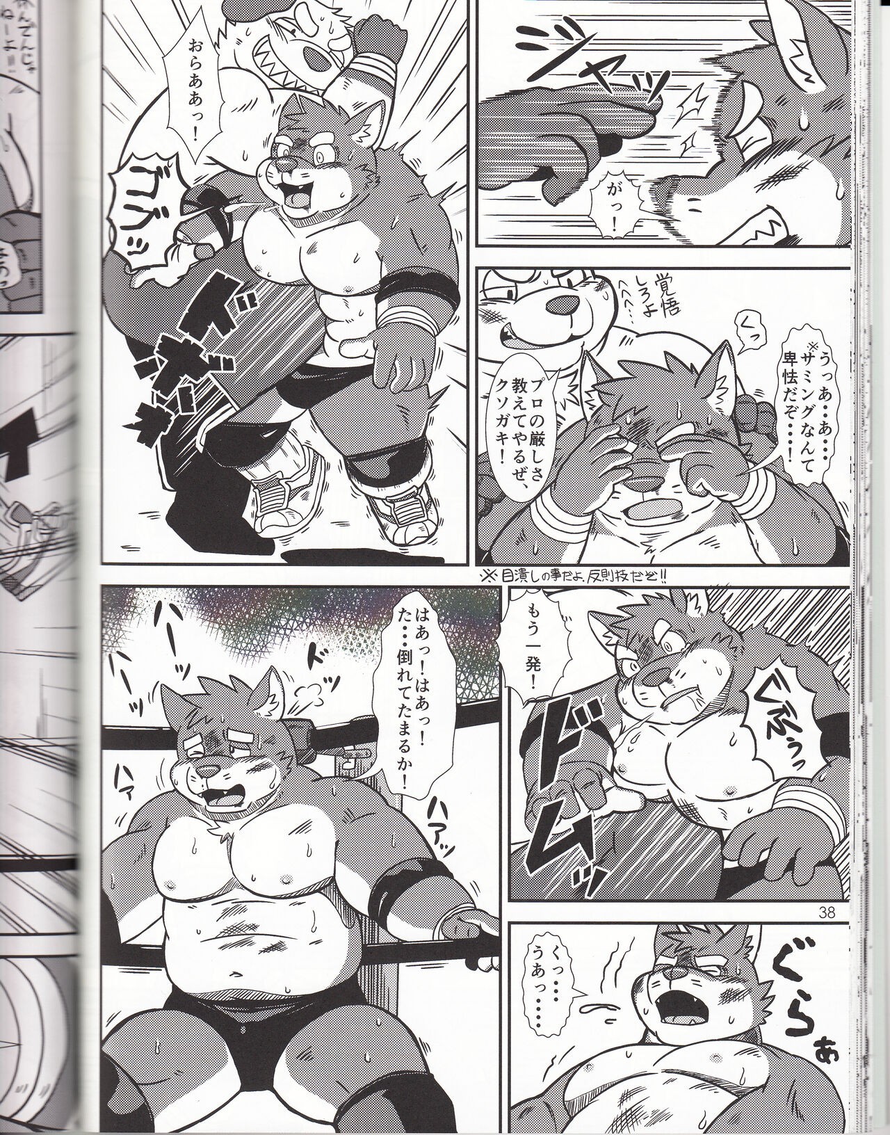 Page 38