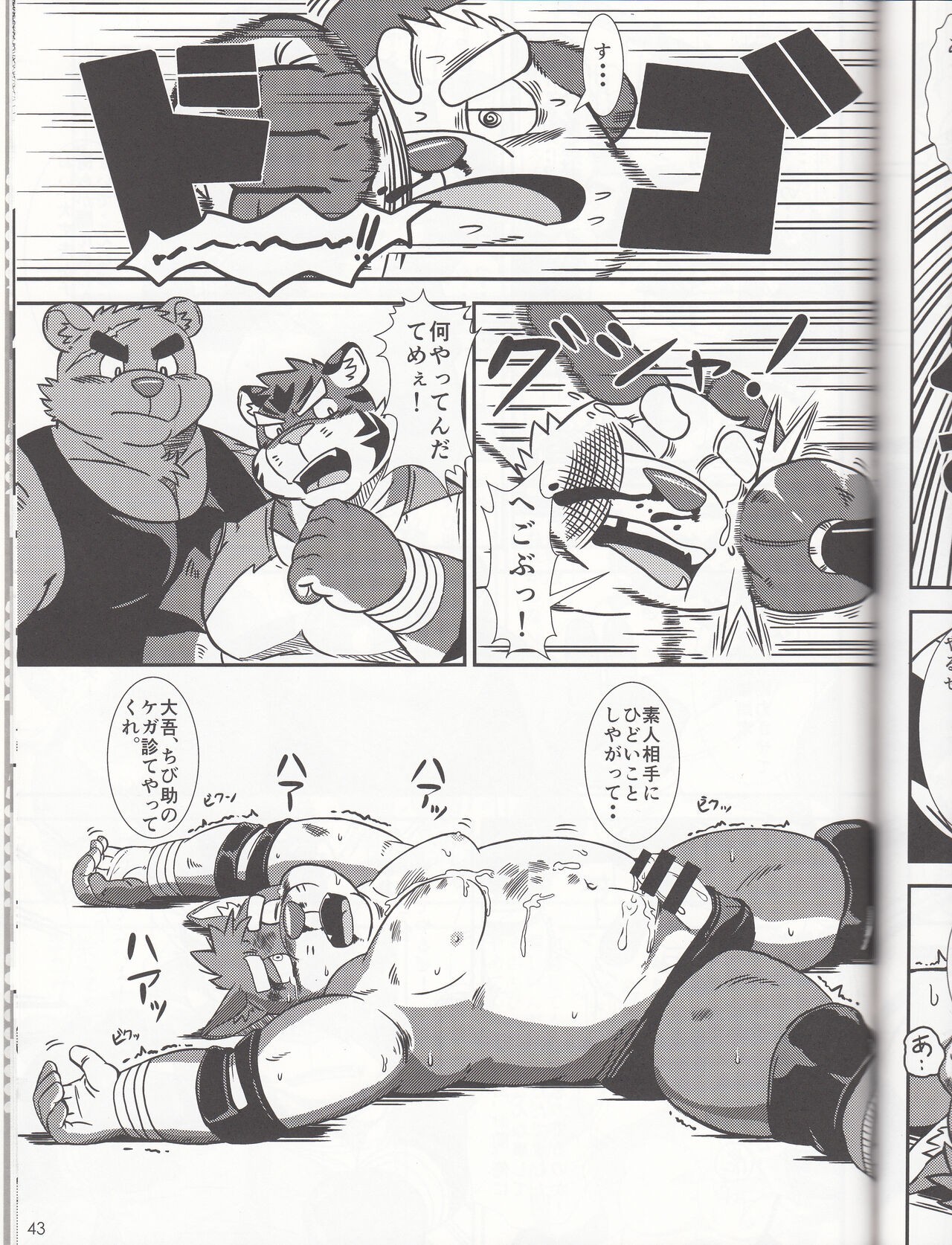 Page 43