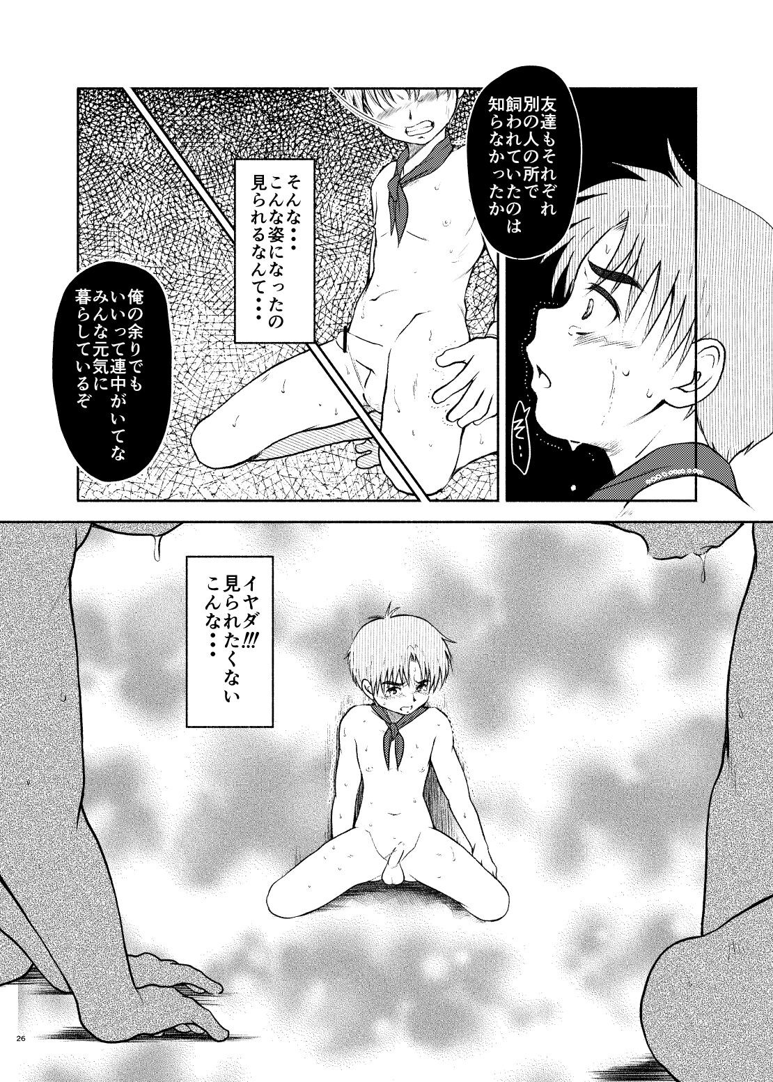 Page 26