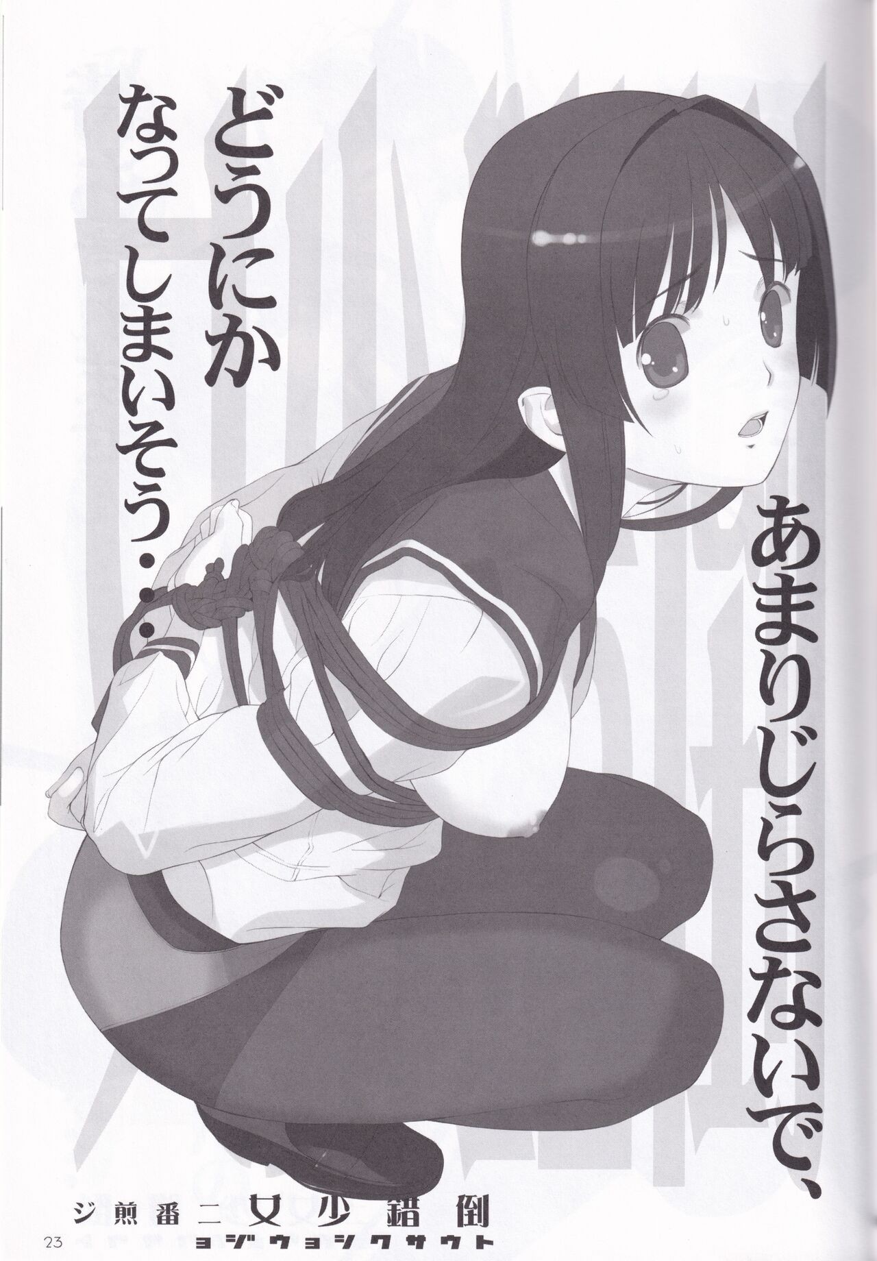 Page 23