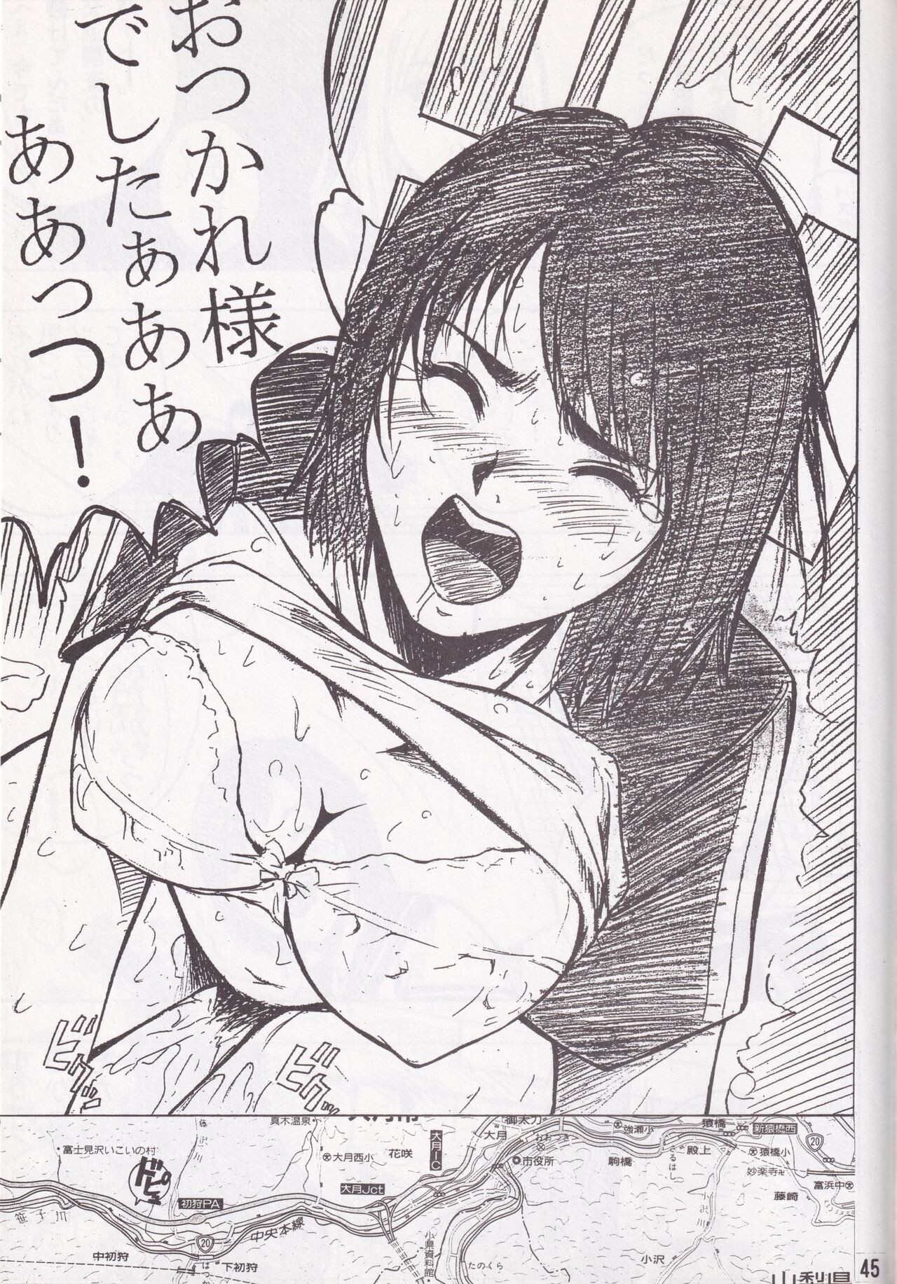 Page 43