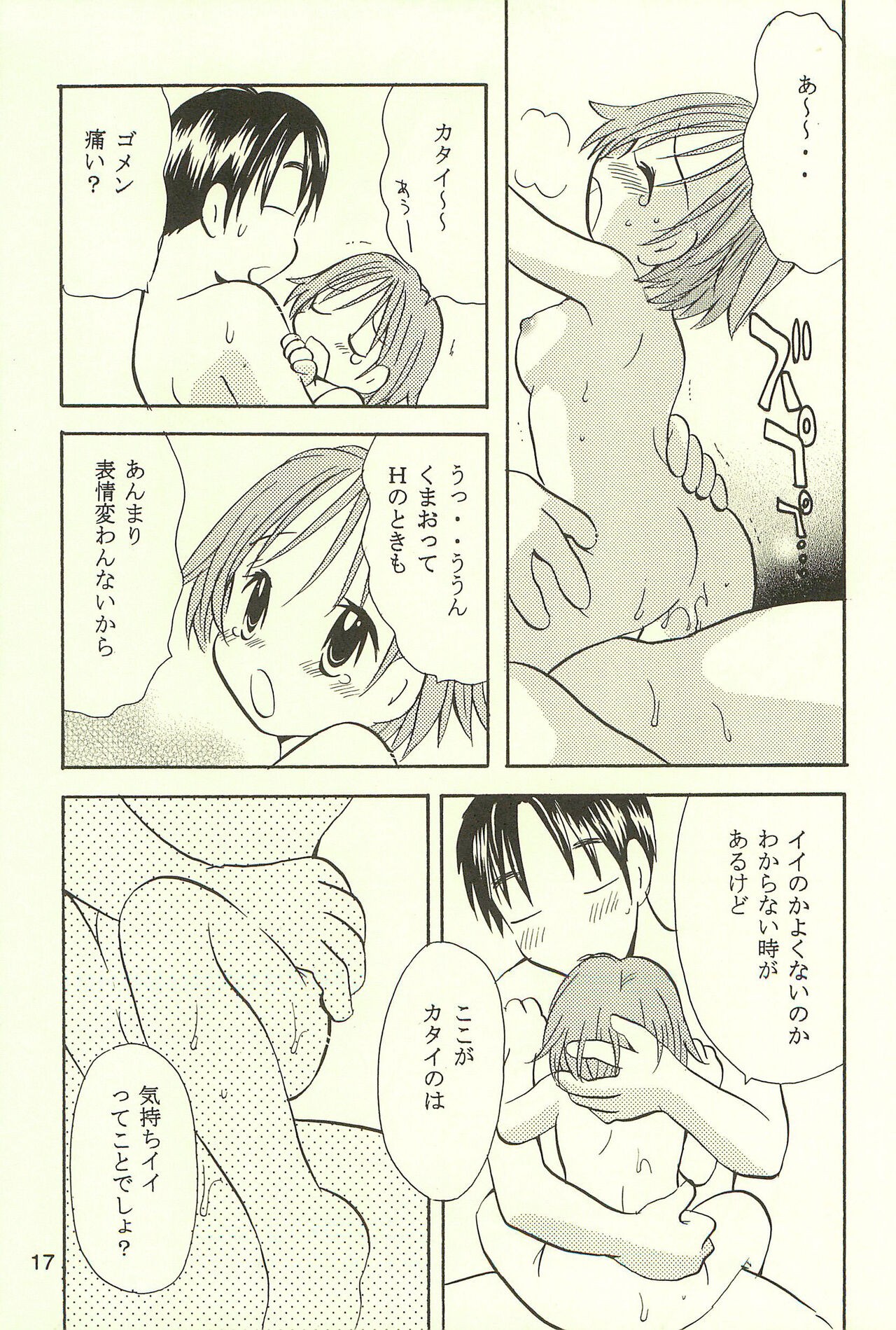 Page 17