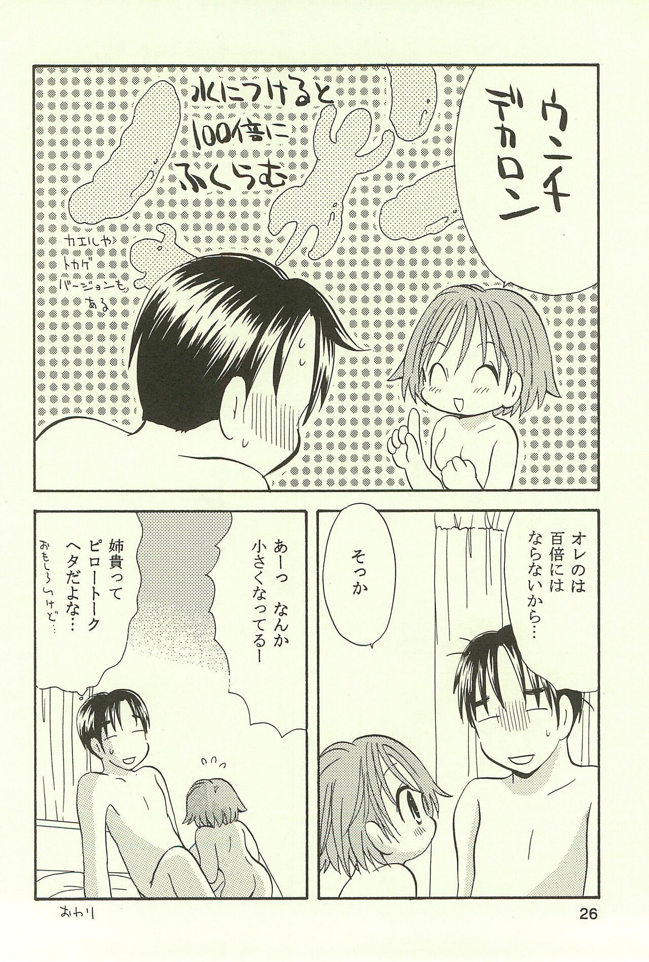 Page 26
