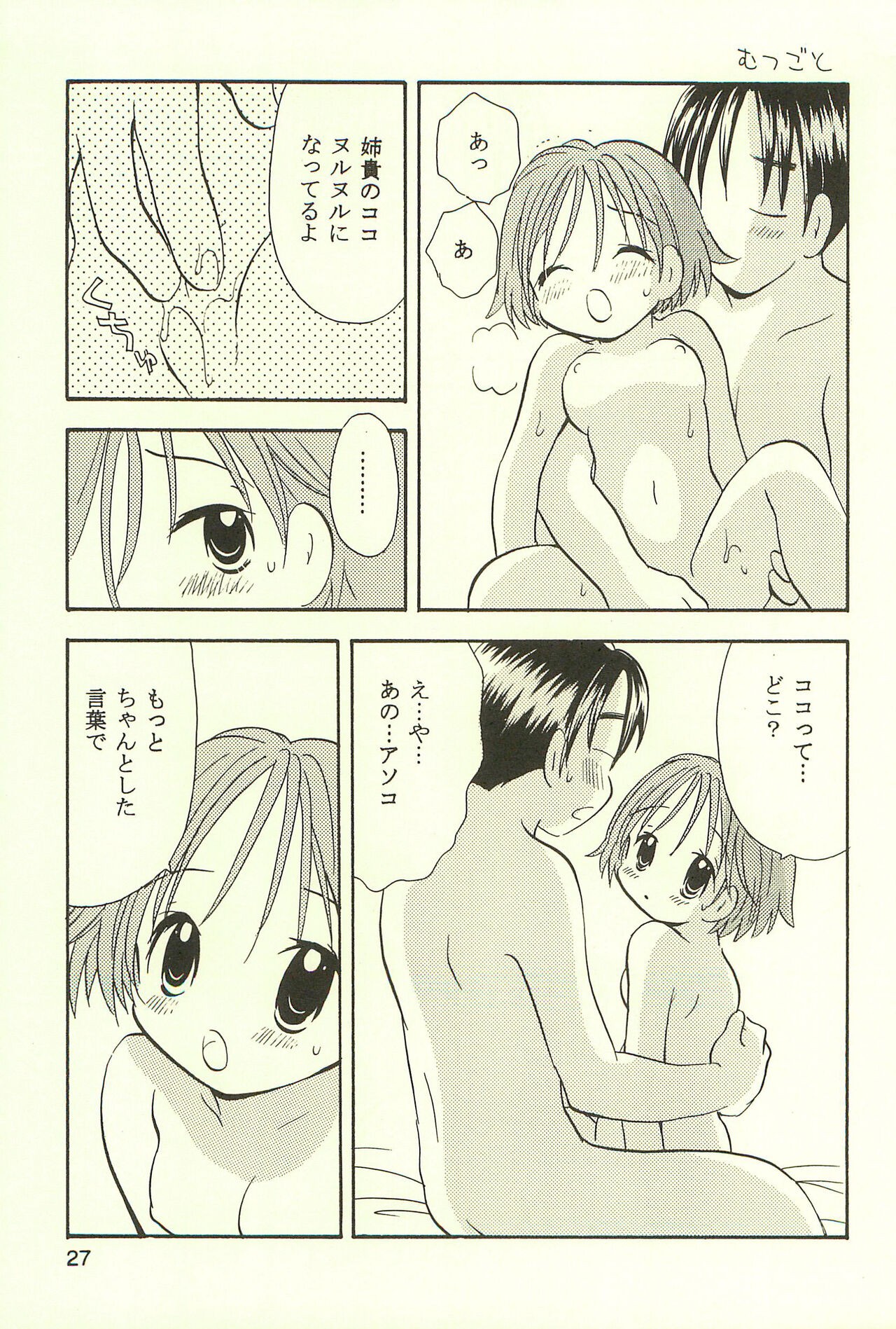 Page 27