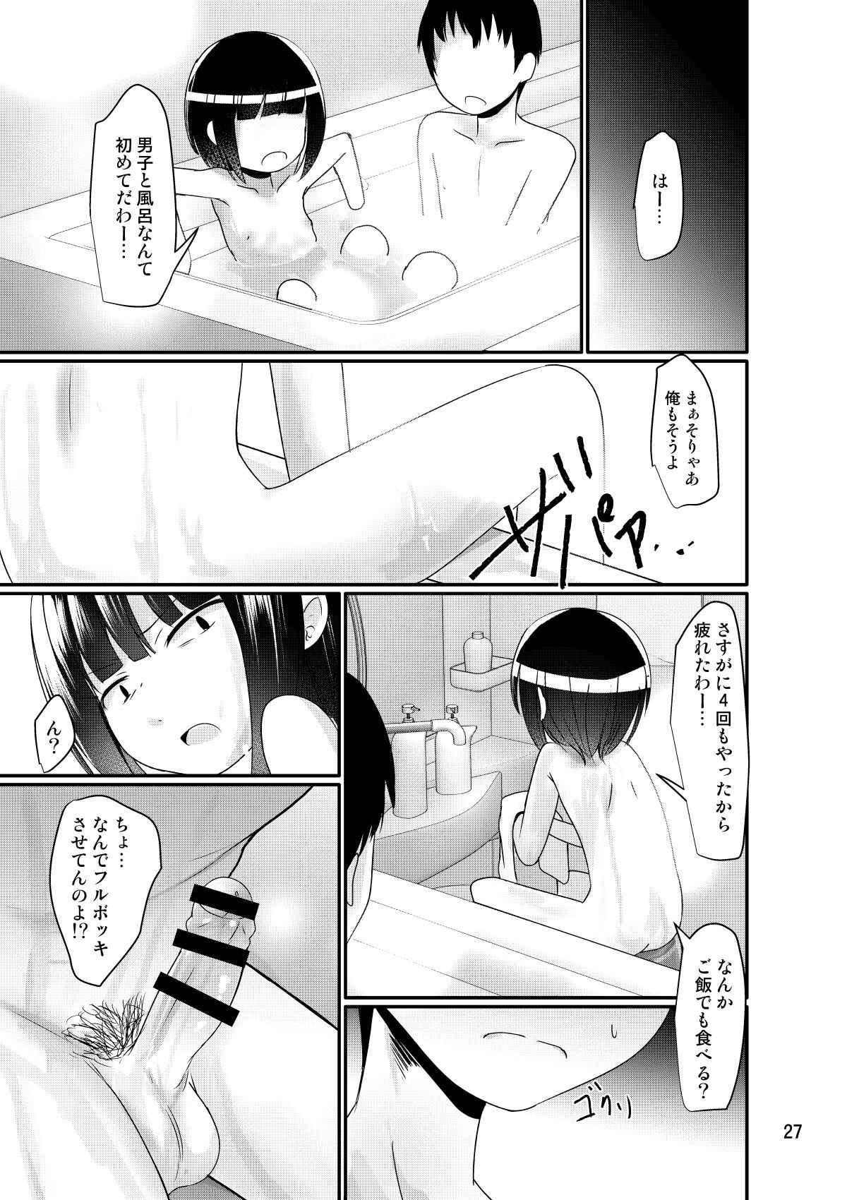Page 27