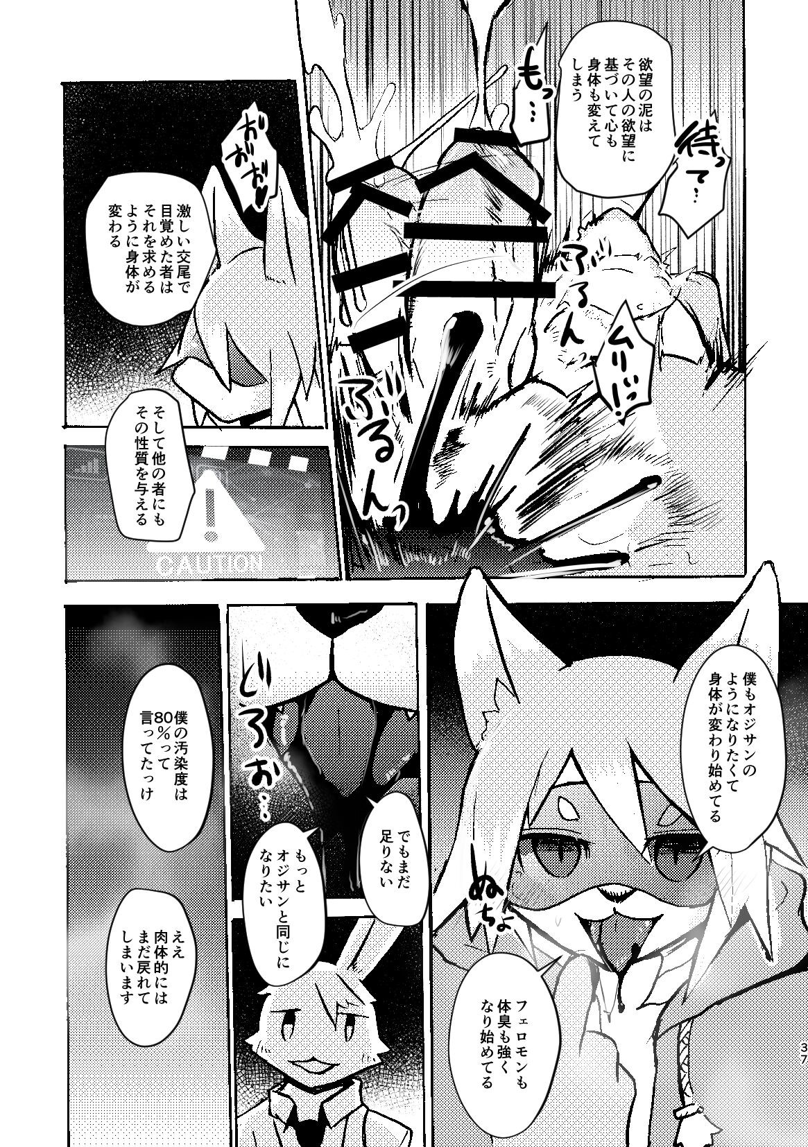 Page 36