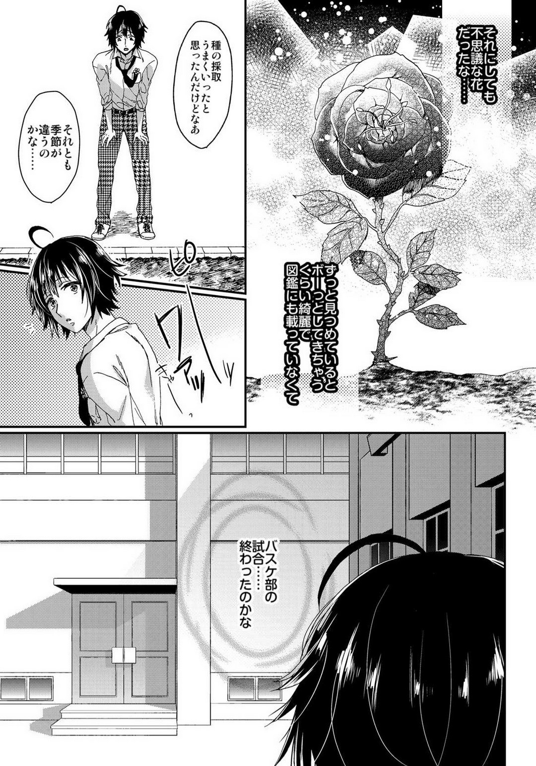 Page 248