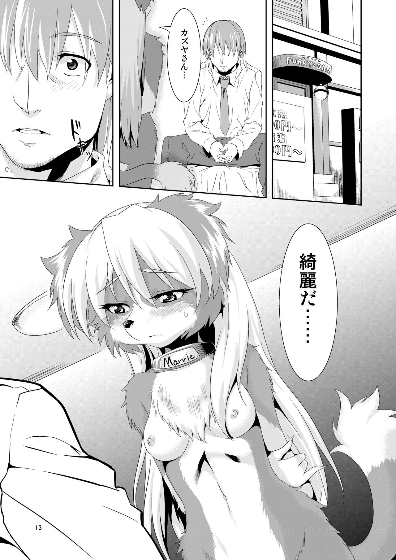 Page 13