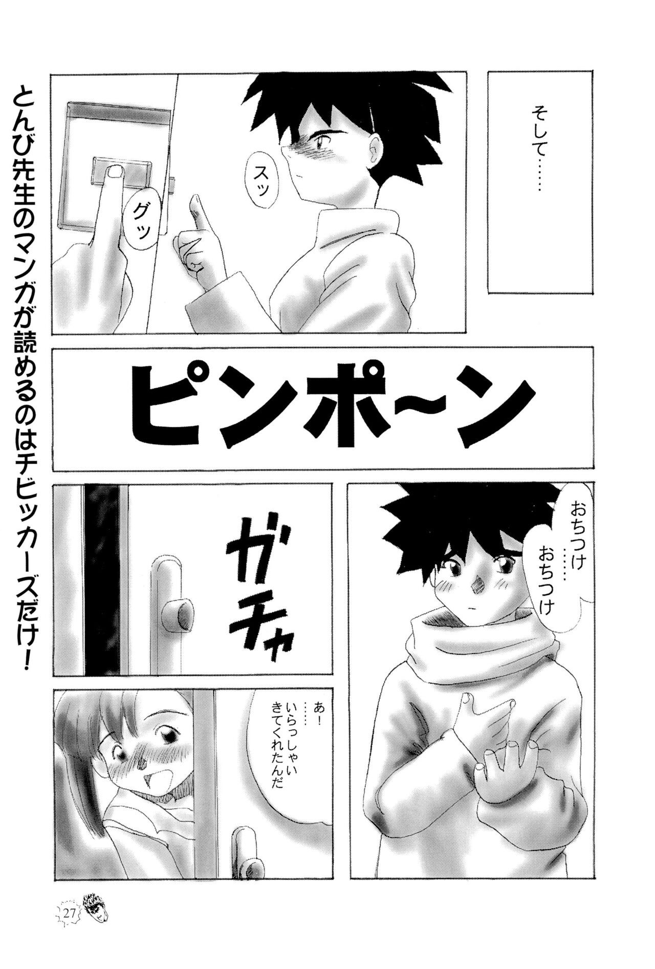 Page 27
