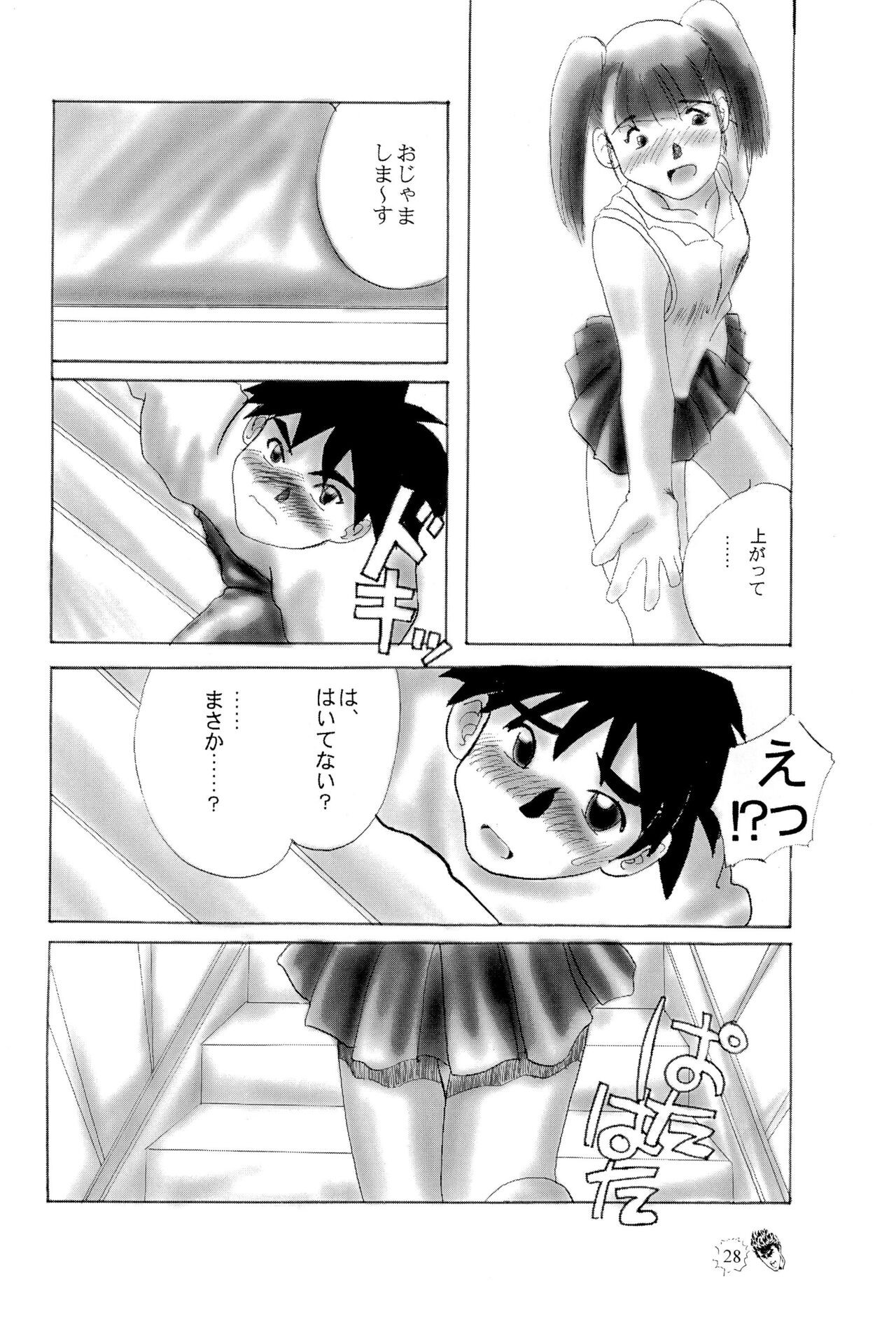 Page 28