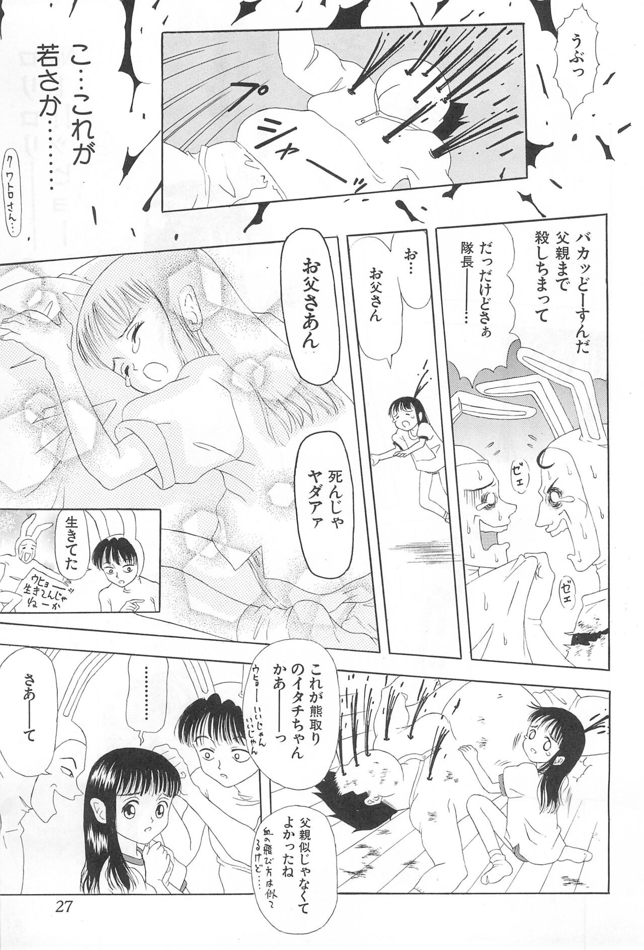 Page 27