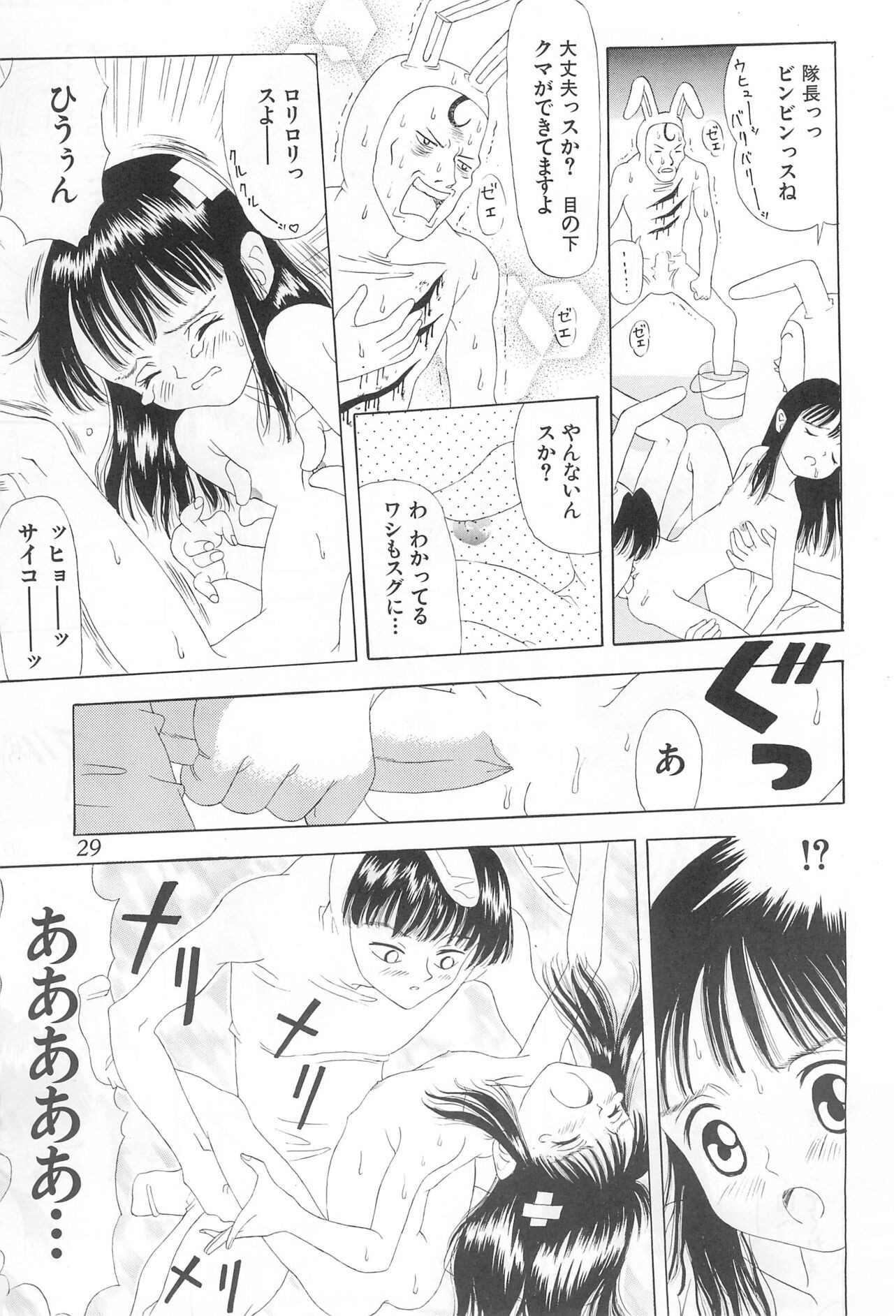 Page 29