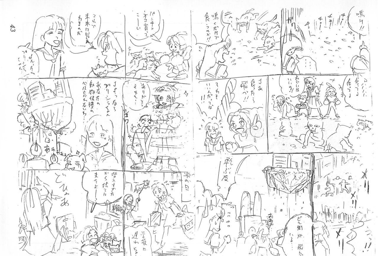 Page 43
