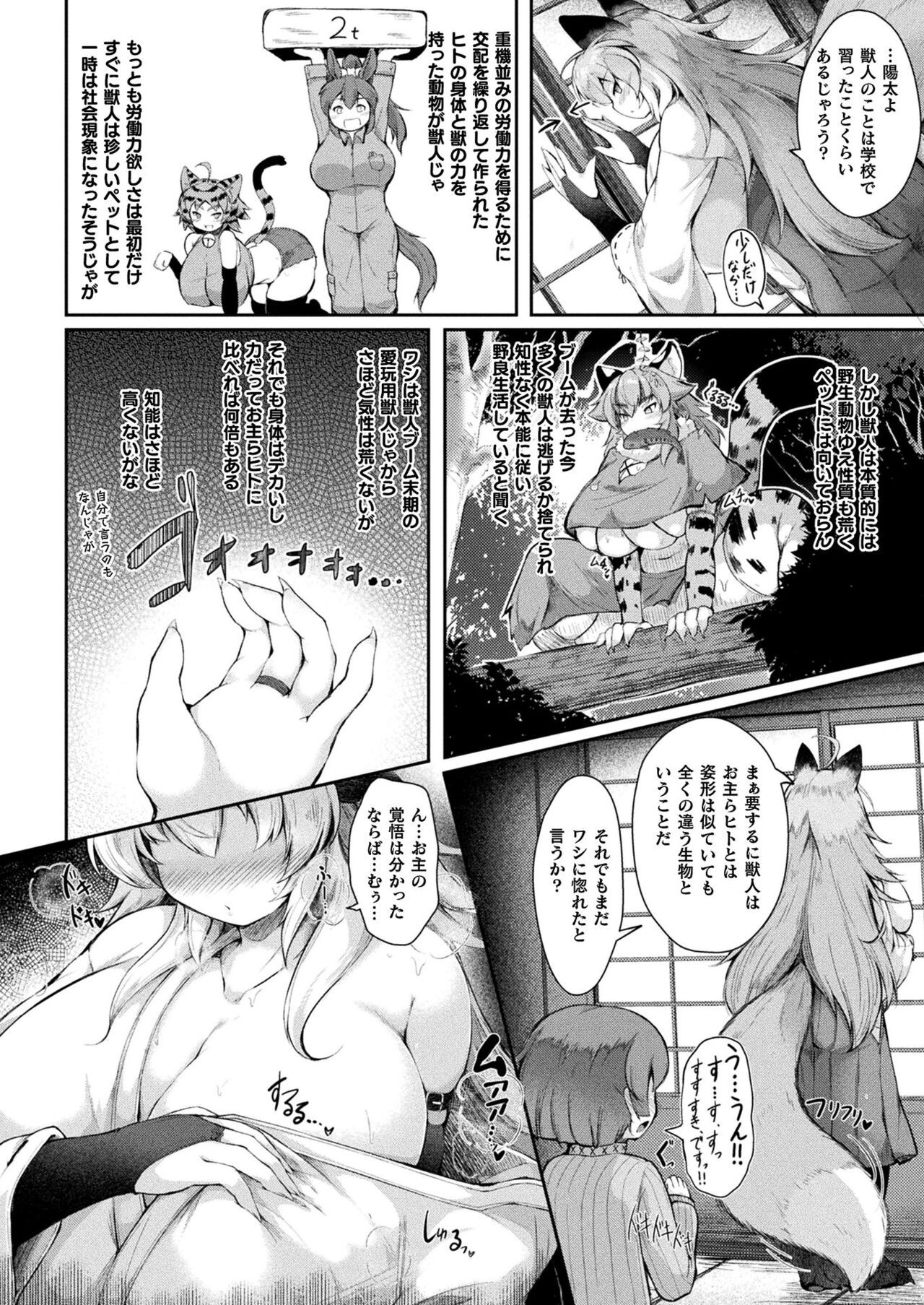 Page 244
