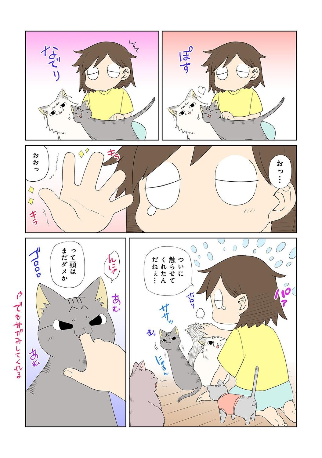 Page 305