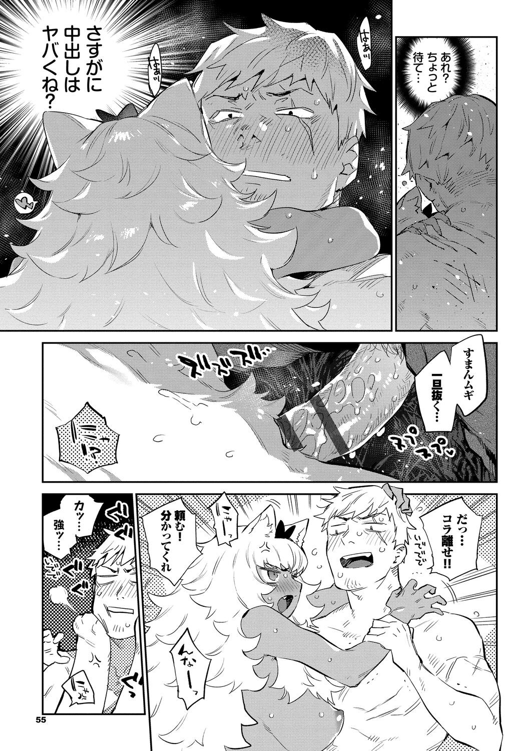 Page 55