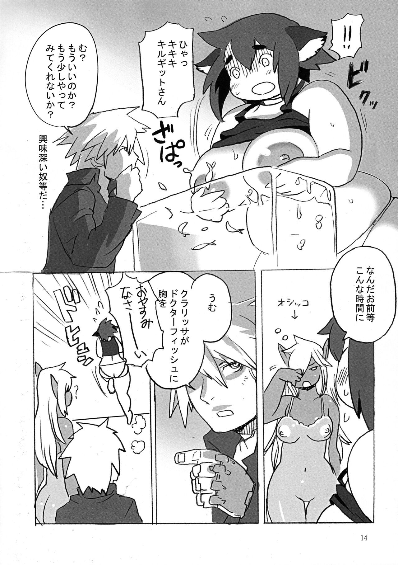 Page 14