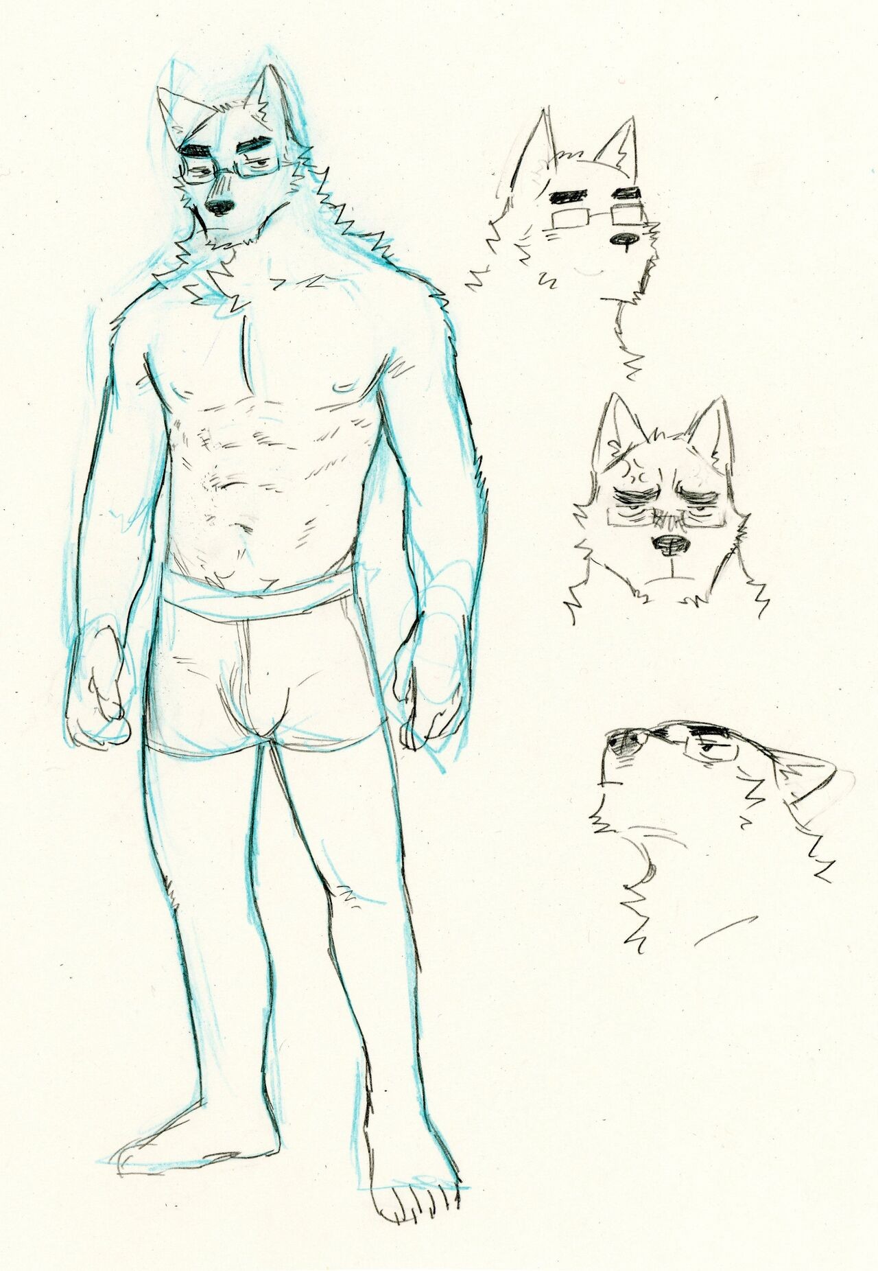 Page 62