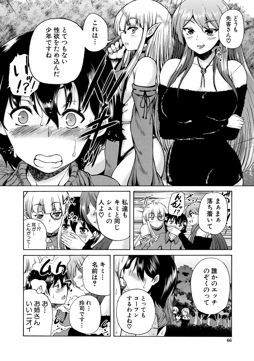 Page 66